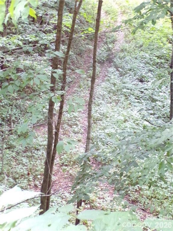 Acreage at 24 Tater Patch Road, Maggie Valley, photo 10 of 46