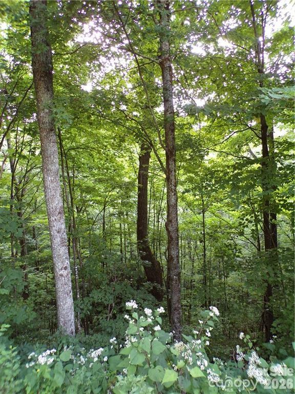 Acreage at 24 Tater Patch Road, Maggie Valley, photo 11 of 46