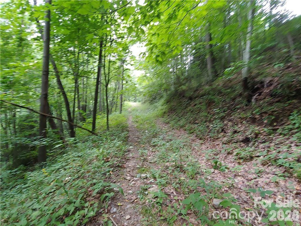 Inviting pathway showcasing the property's appeal and welcoming atmosphere. - 24 Tater Patch Road, Maggie Valley