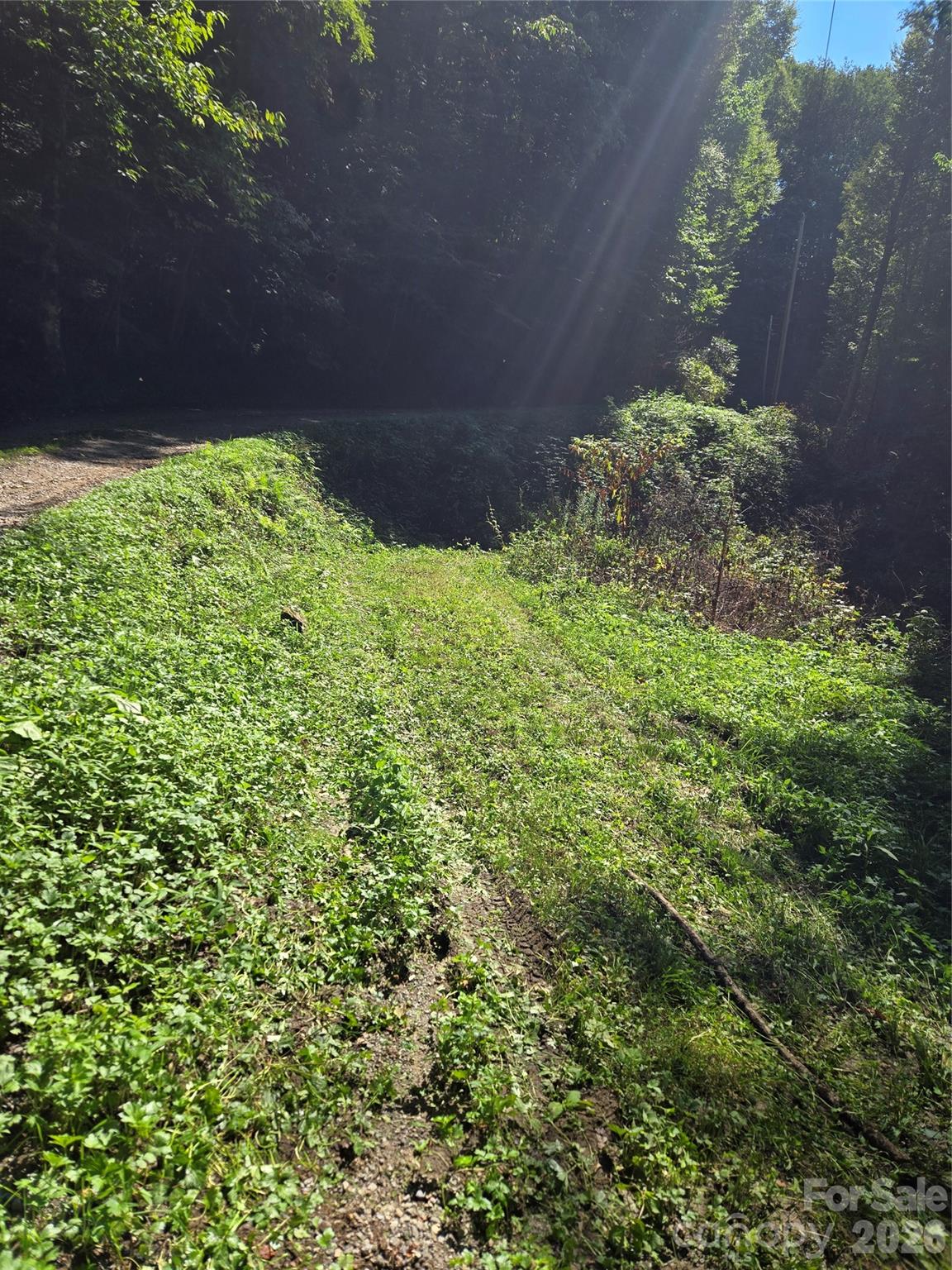 Acreage at 24 Tater Patch Road, Maggie Valley, photo 15 of 46
