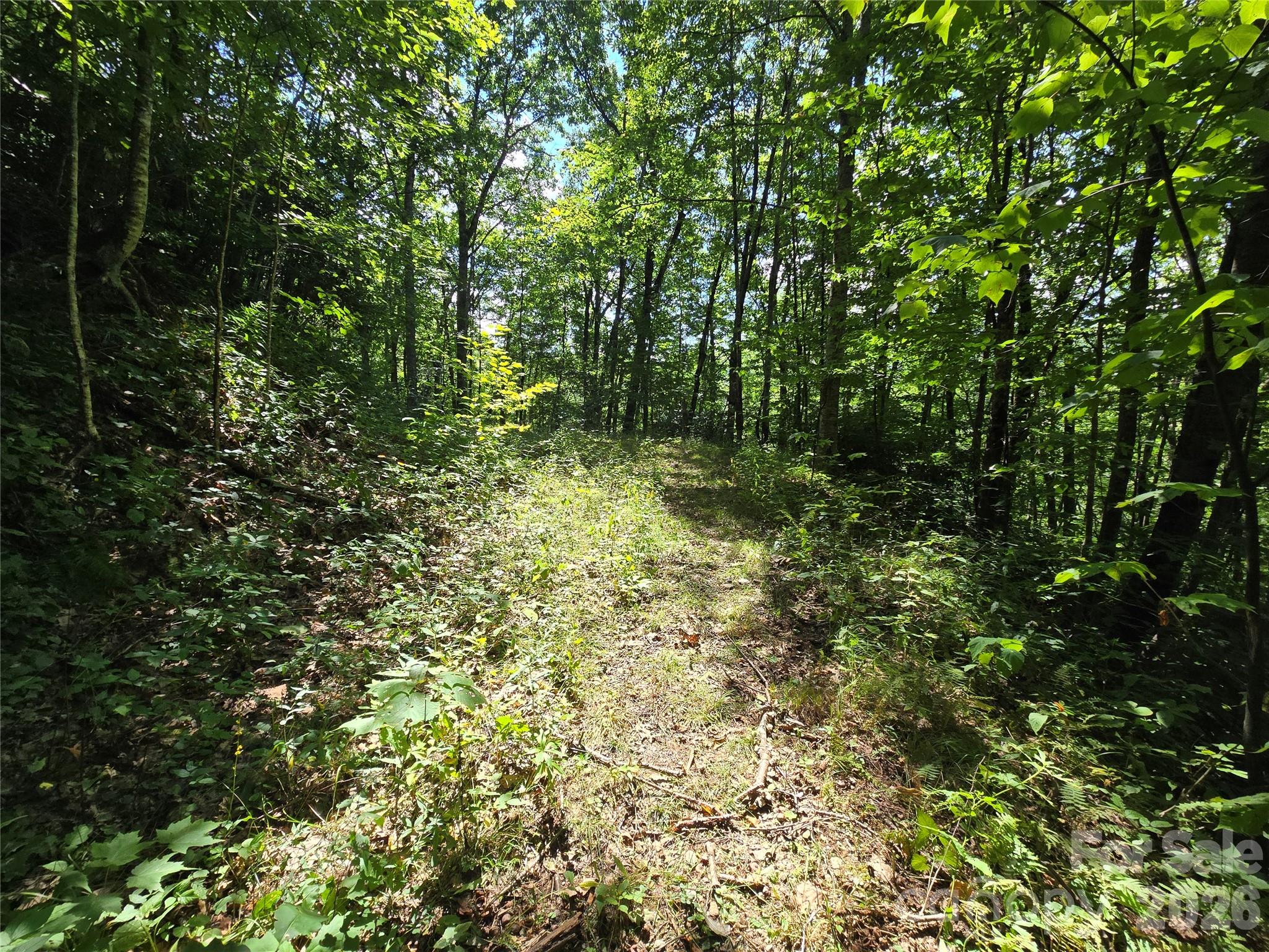 Acreage at 24 Tater Patch Road, Maggie Valley, photo 19 of 46