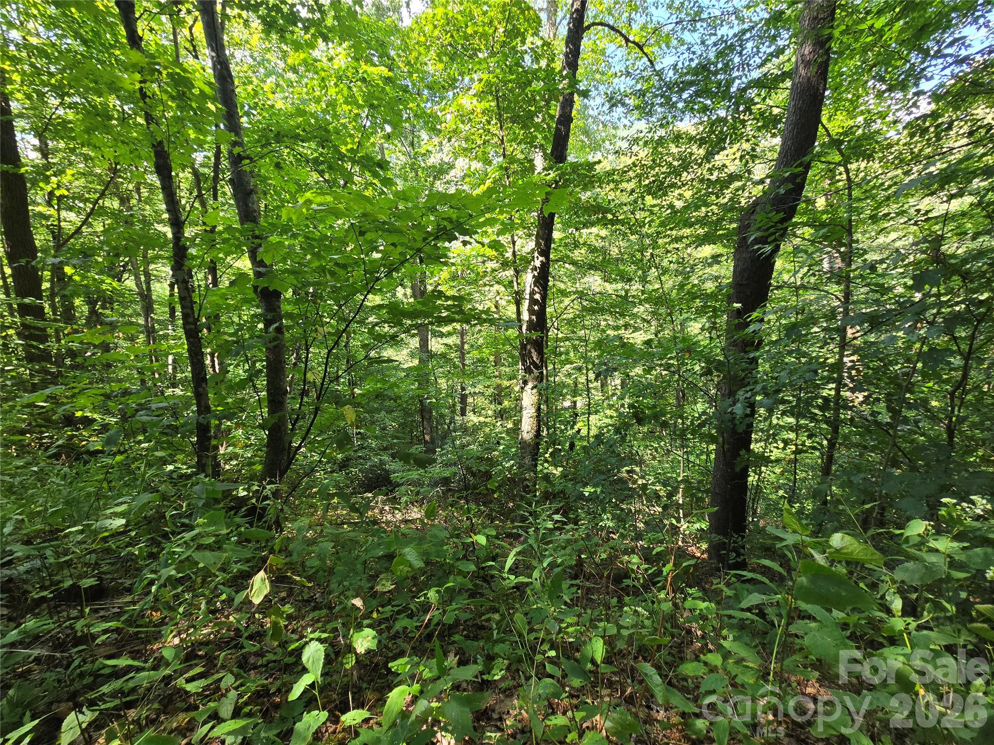 Acreage at 24 Tater Patch Road, Maggie Valley, photo 20 of 46