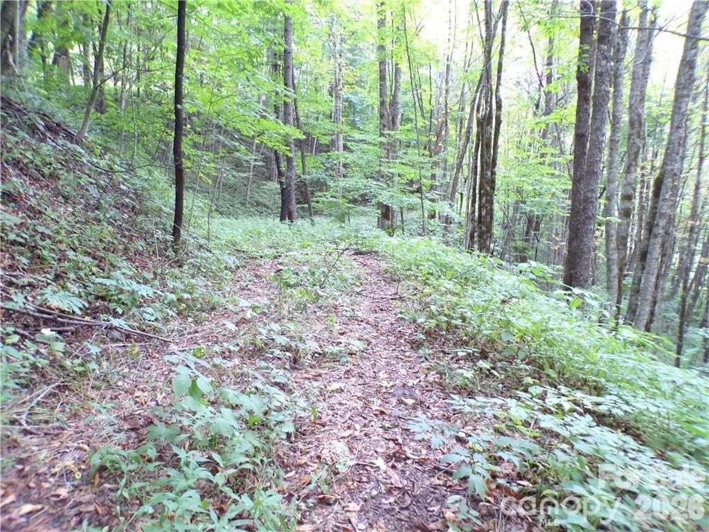 Acreage at 24 Tater Patch Road, Maggie Valley, photo 25 of 46