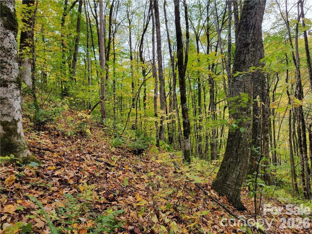 Acreage at 24 Tater Patch Road, Maggie Valley, photo 26 of 46