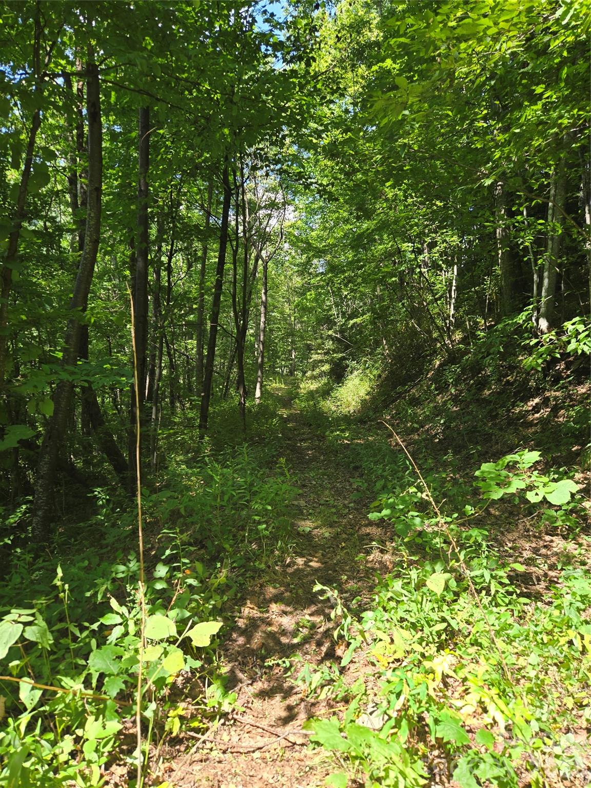 Acreage at 24 Tater Patch Road, Maggie Valley, photo 28 of 46