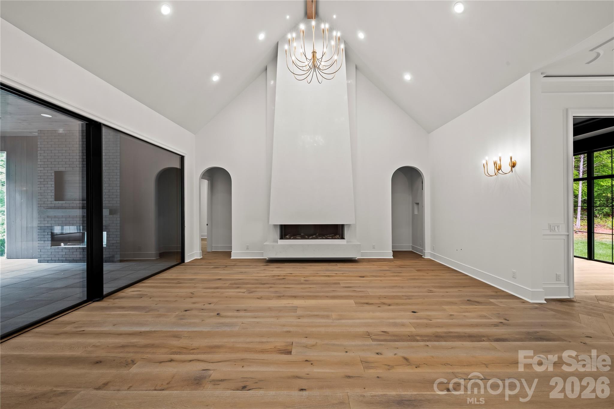 3 sided gas fireplace - 8738 Kristie Lane, Indian Land