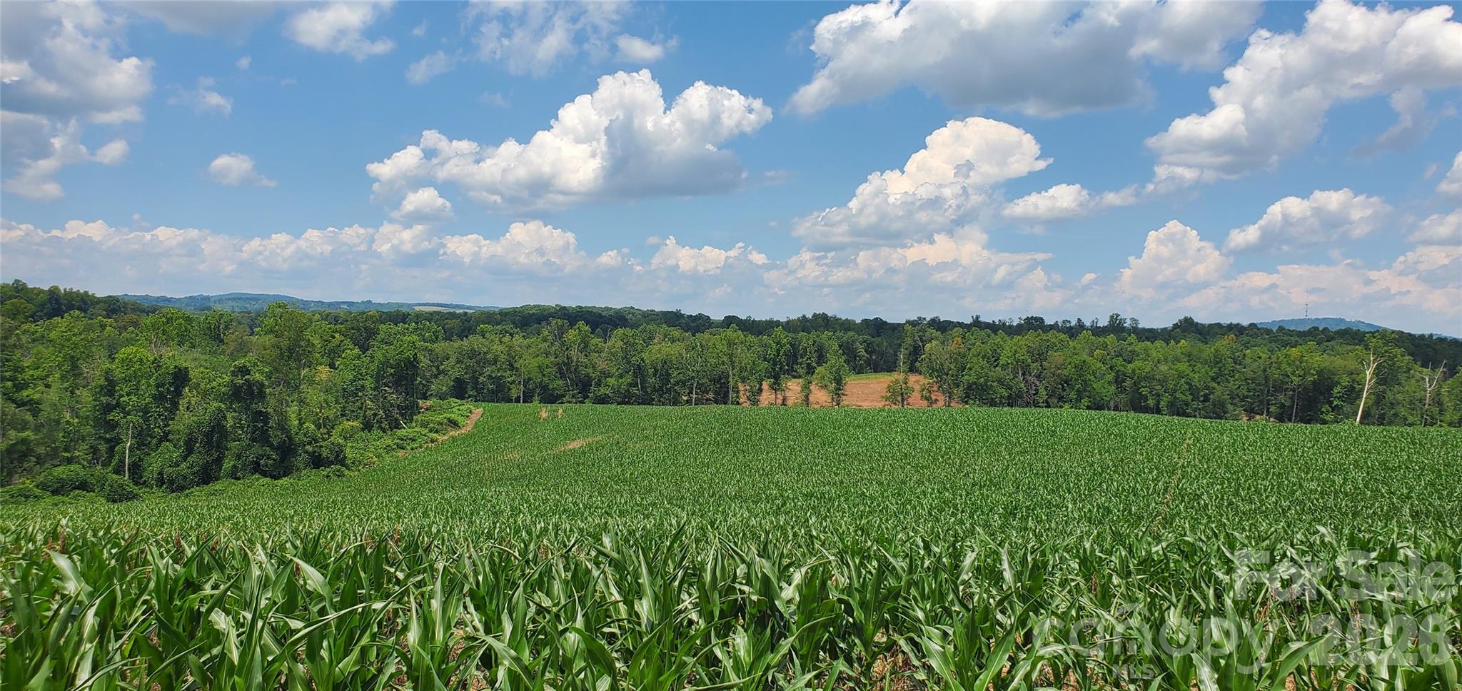 Acreage at 3641 US Highway 21 Highway, Hamptonville