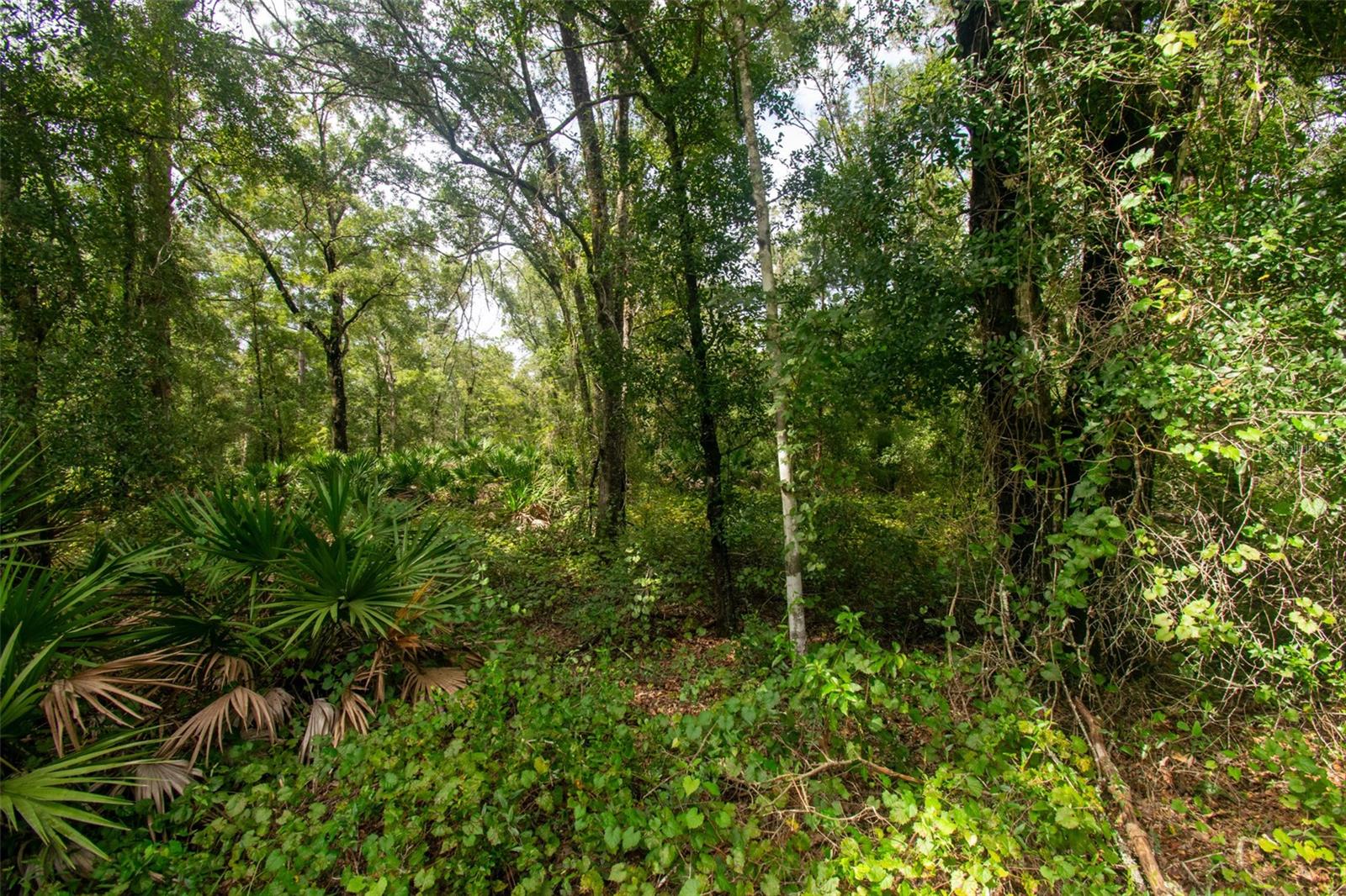 4730 PALATKA BLVD