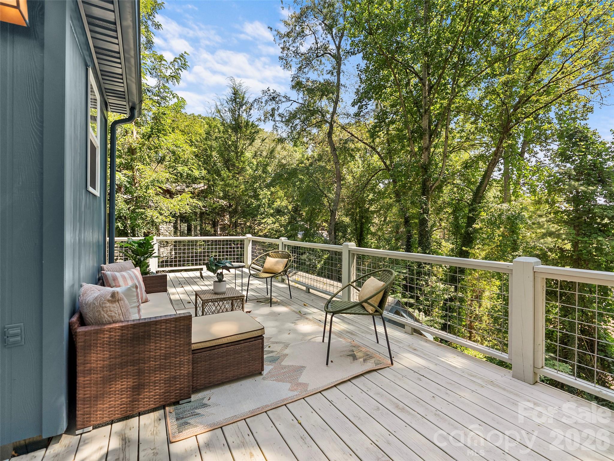 Huge private deck off the kitchen - 1 Kenilworth Road, Asheville