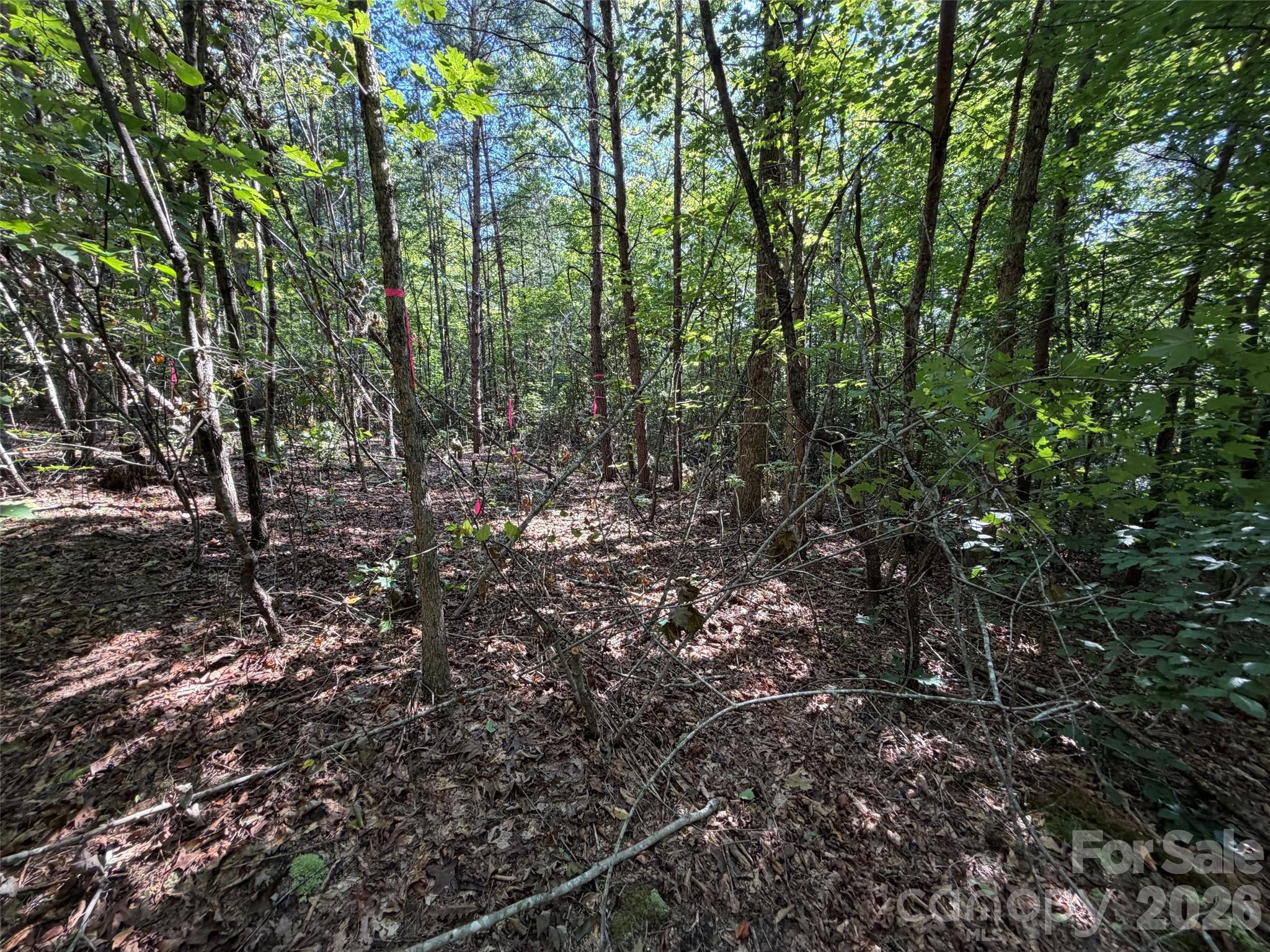 Acreage at 476 Southern Way, Nebo, photo 2 of 16