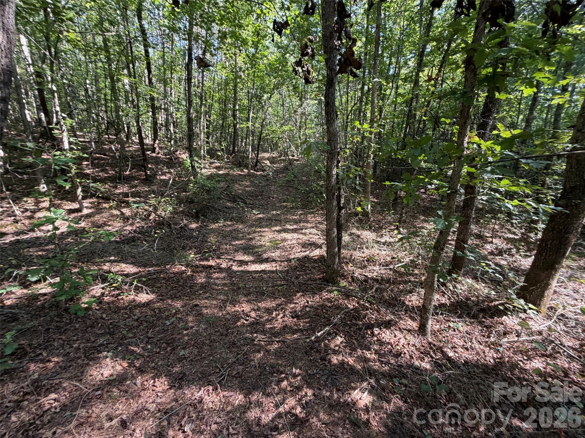 Acreage at 476 Southern Way, Nebo, photo 3 of 16