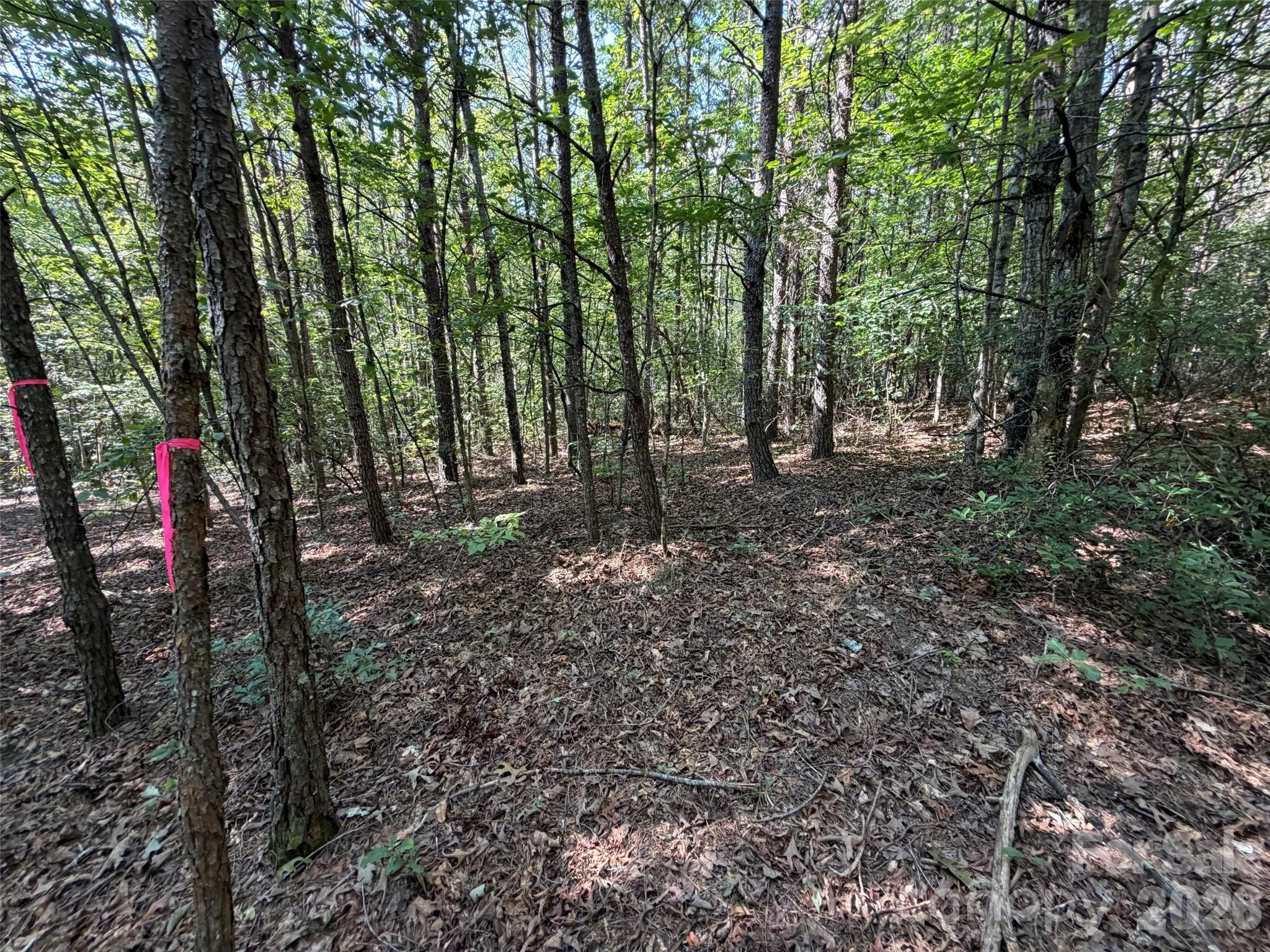 Acreage at 476 Southern Way, Nebo, photo 4 of 16