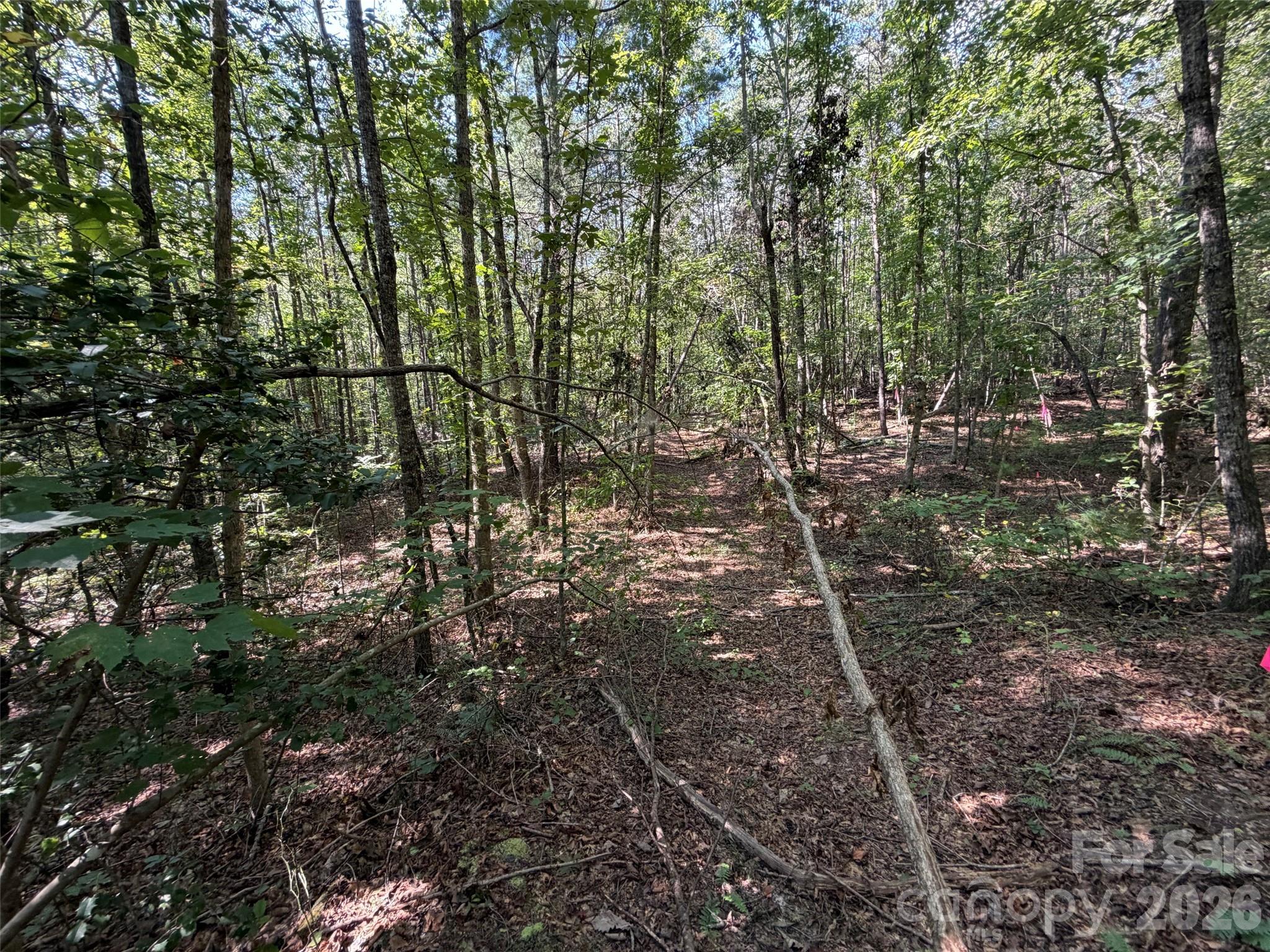 Acreage at 476 Southern Way, Nebo, photo 5 of 16