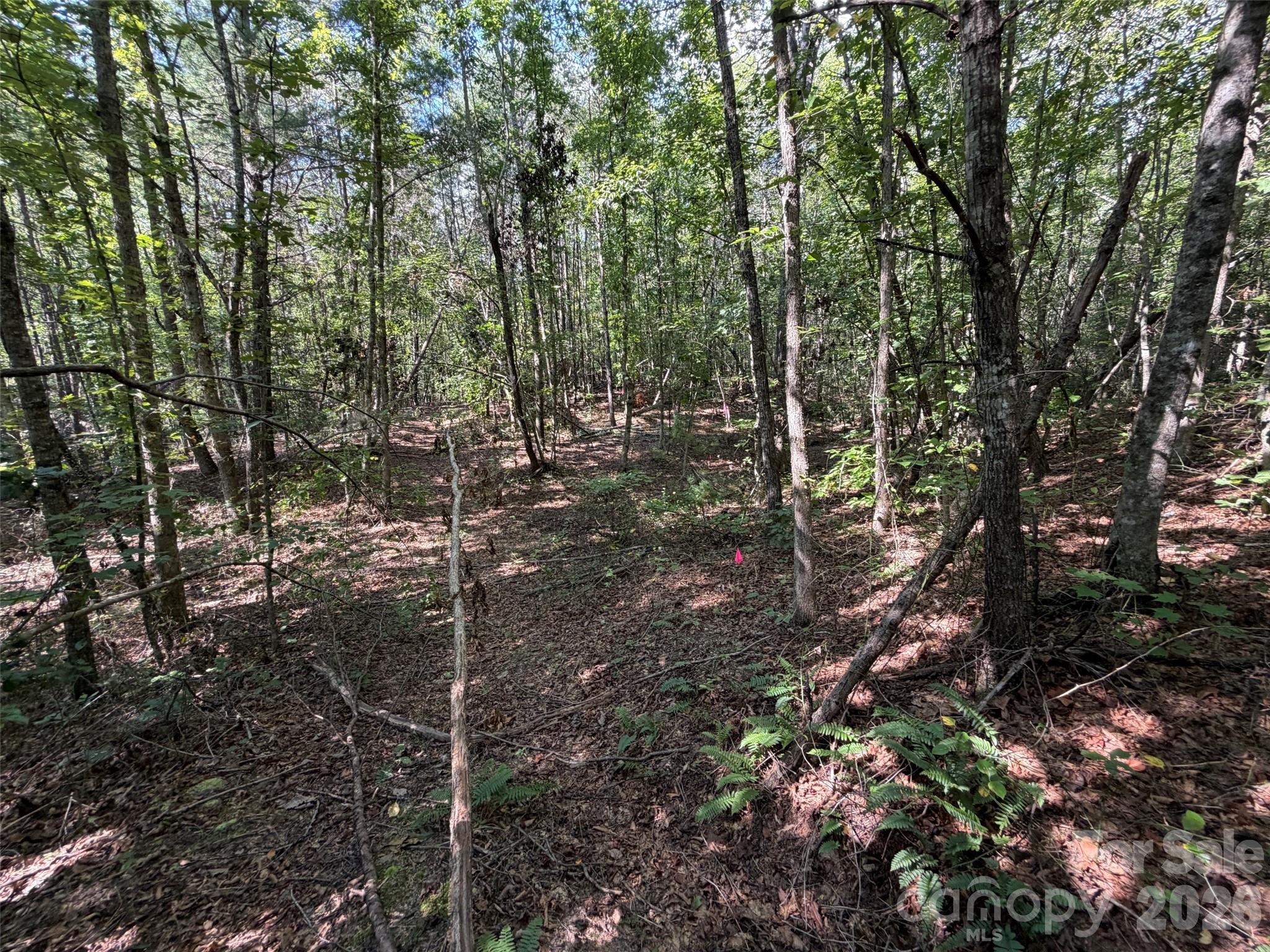 Acreage at 476 Southern Way, Nebo, photo 6 of 16