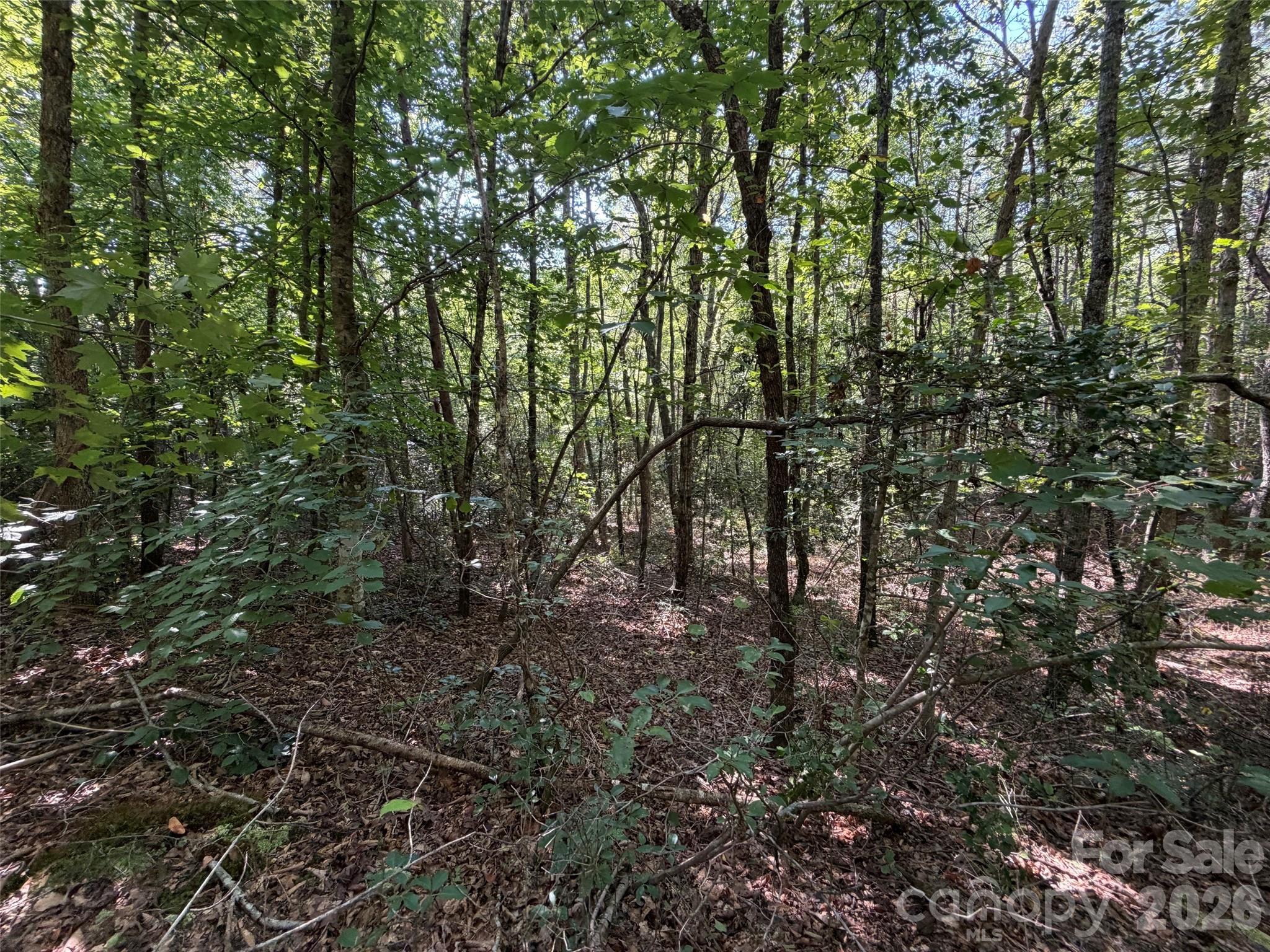 Acreage at 476 Southern Way, Nebo, photo 7 of 16