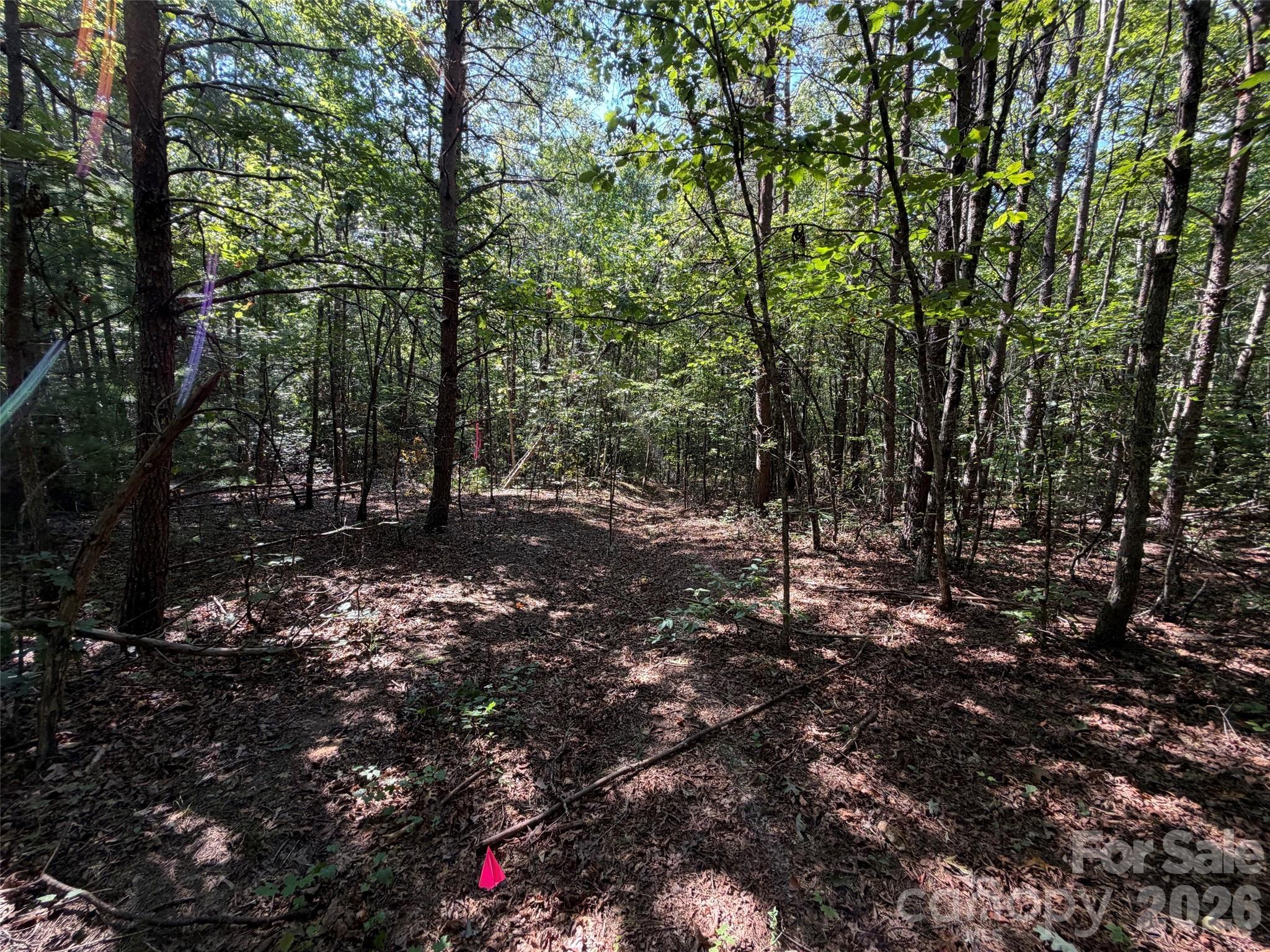 Acreage at 476 Southern Way, Nebo, photo 8 of 16