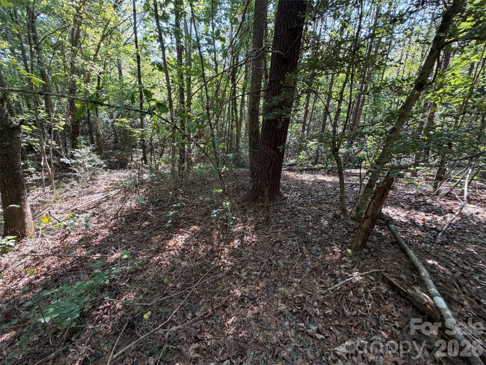 Acreage at 476 Southern Way, Nebo, photo 10 of 16