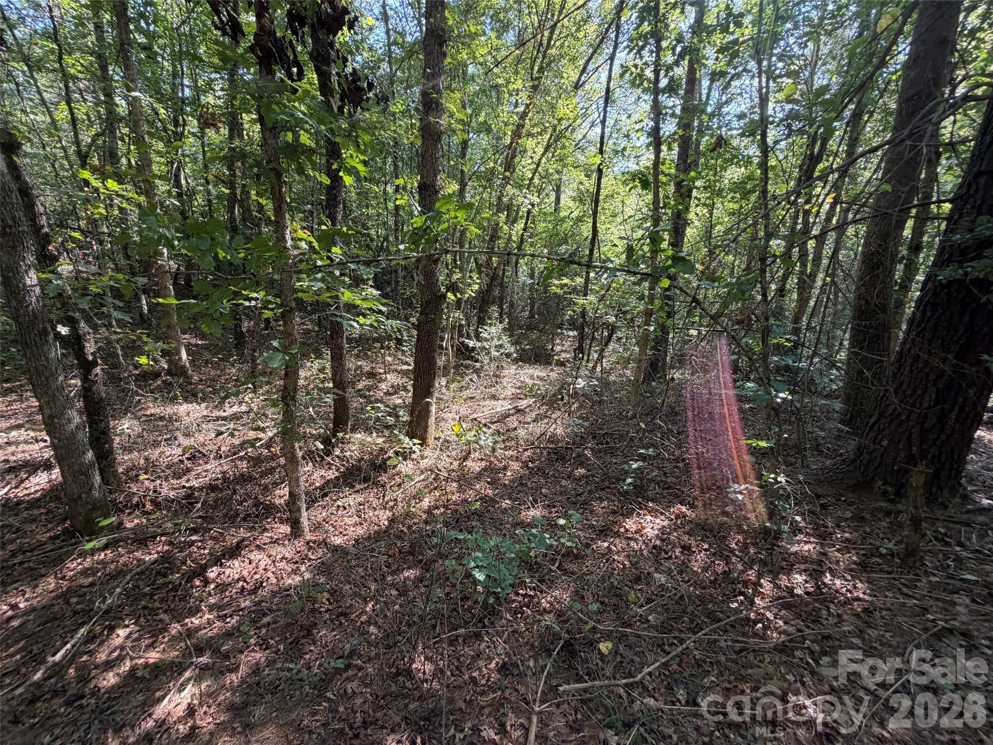 Acreage at 476 Southern Way, Nebo, photo 11 of 16