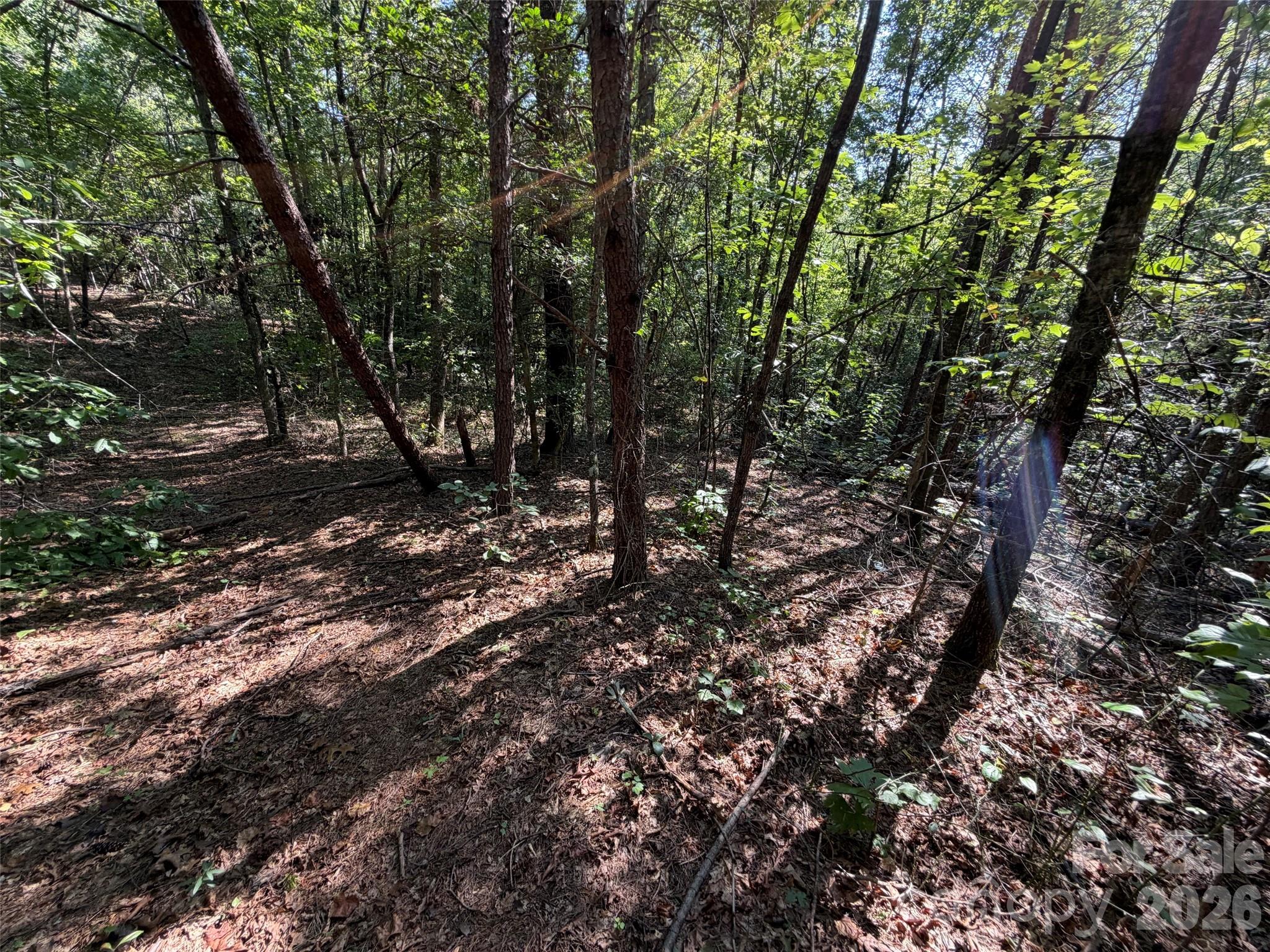 Acreage at 476 Southern Way, Nebo, photo 12 of 16