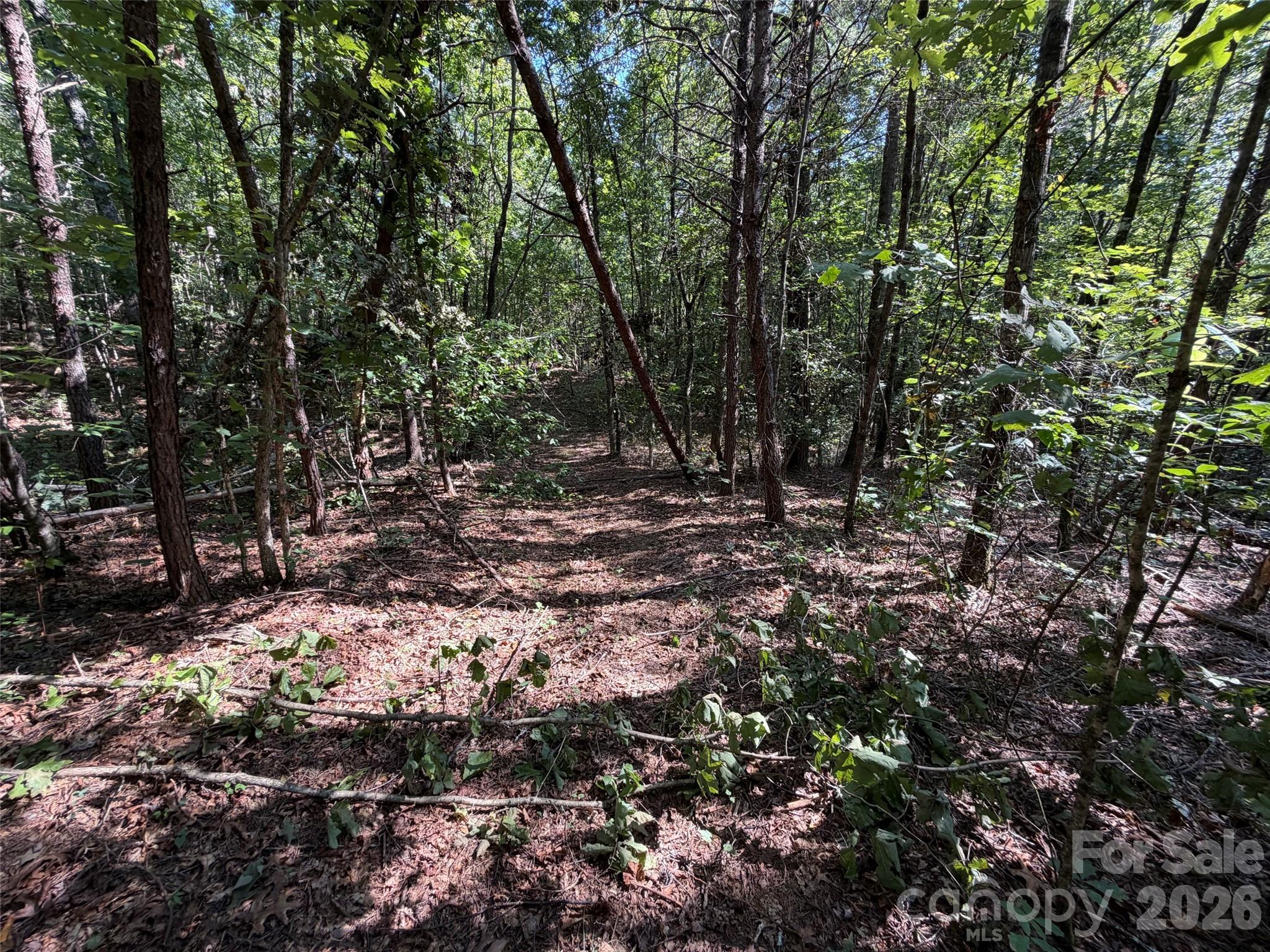 Acreage at 476 Southern Way, Nebo, photo 13 of 16