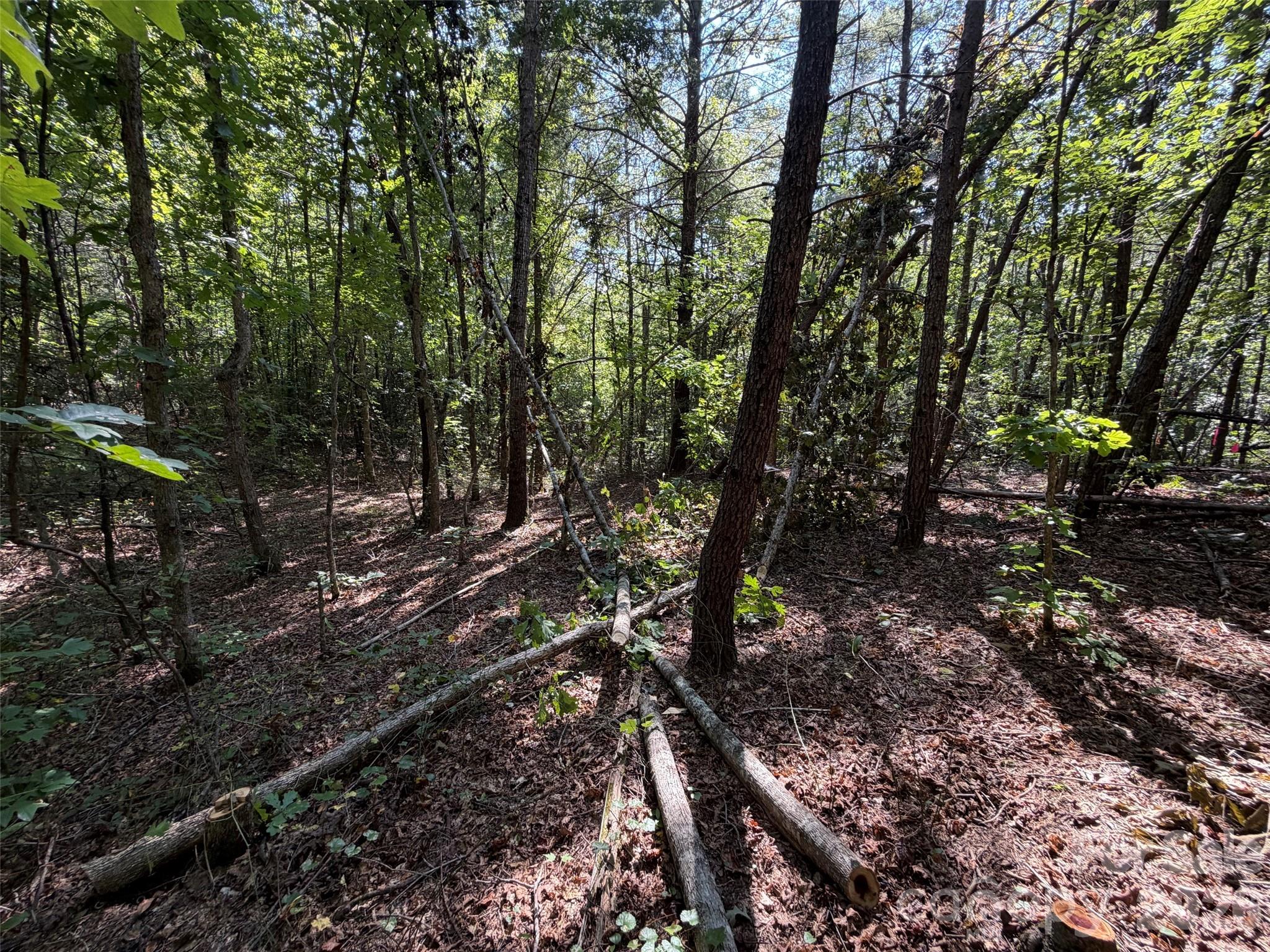 Acreage at 476 Southern Way, Nebo, photo 14 of 16