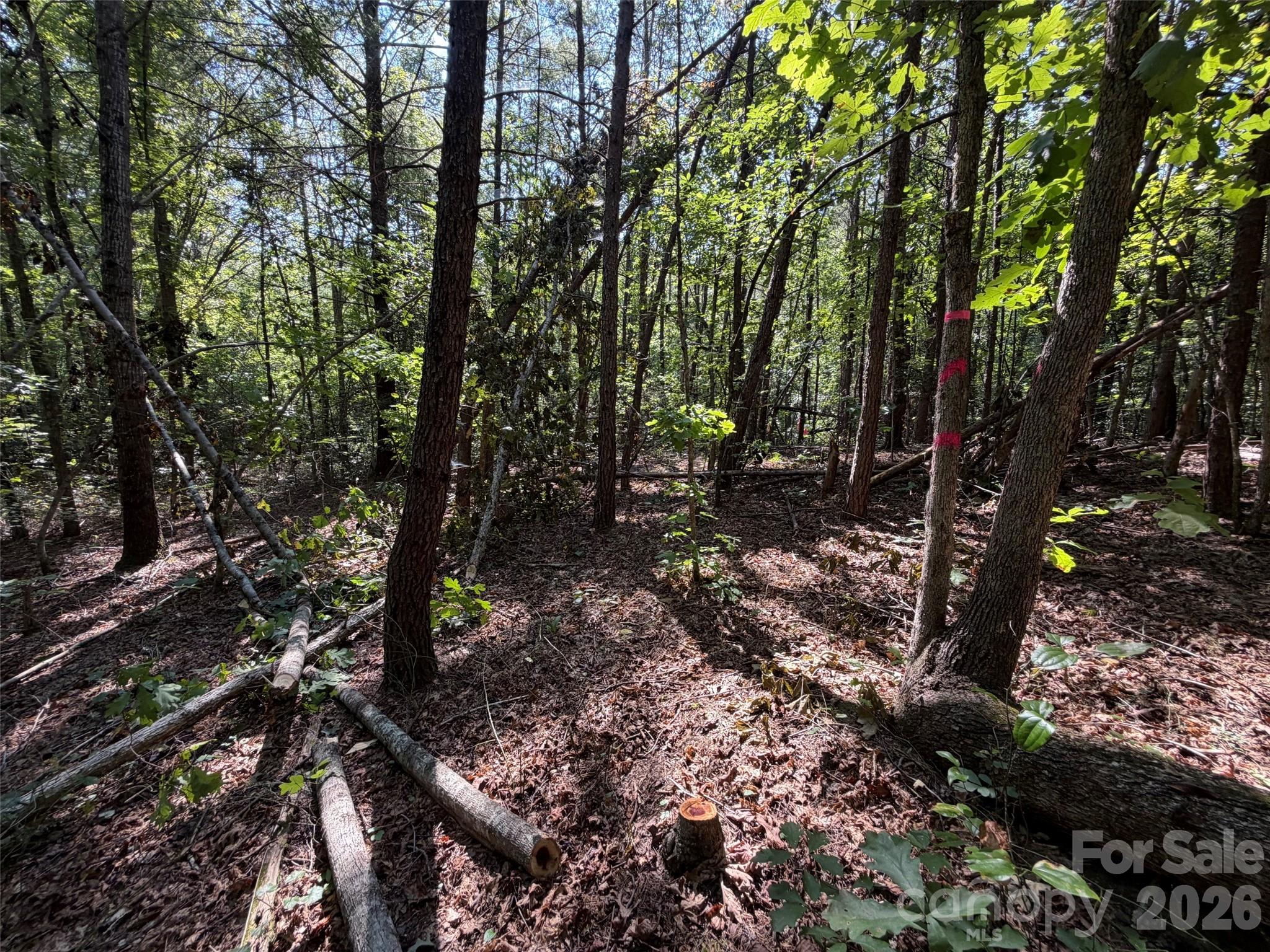 Acreage at 476 Southern Way, Nebo, photo 15 of 16