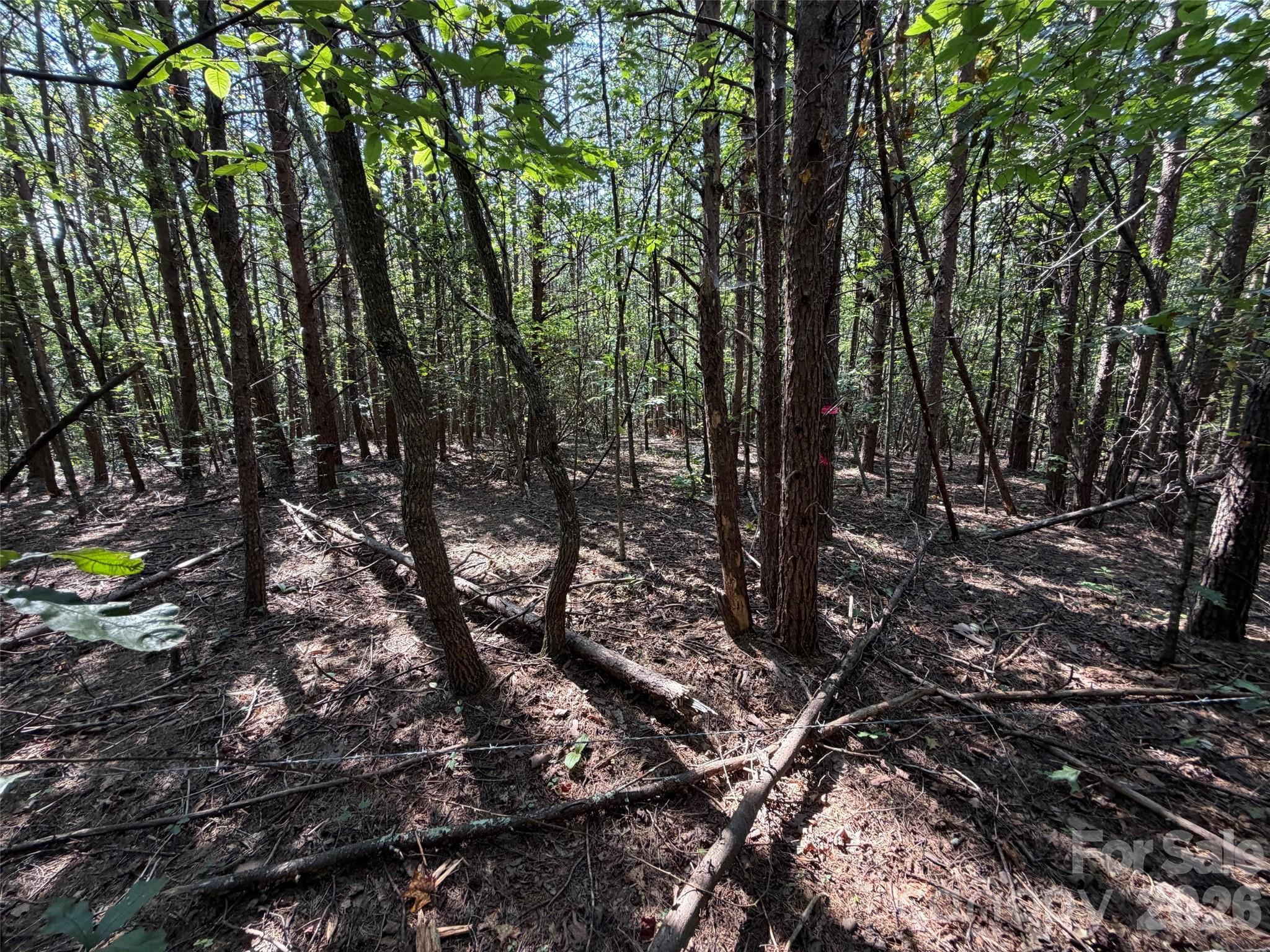 Acreage at 472 Southern Way, Nebo, photo 2 of 11
