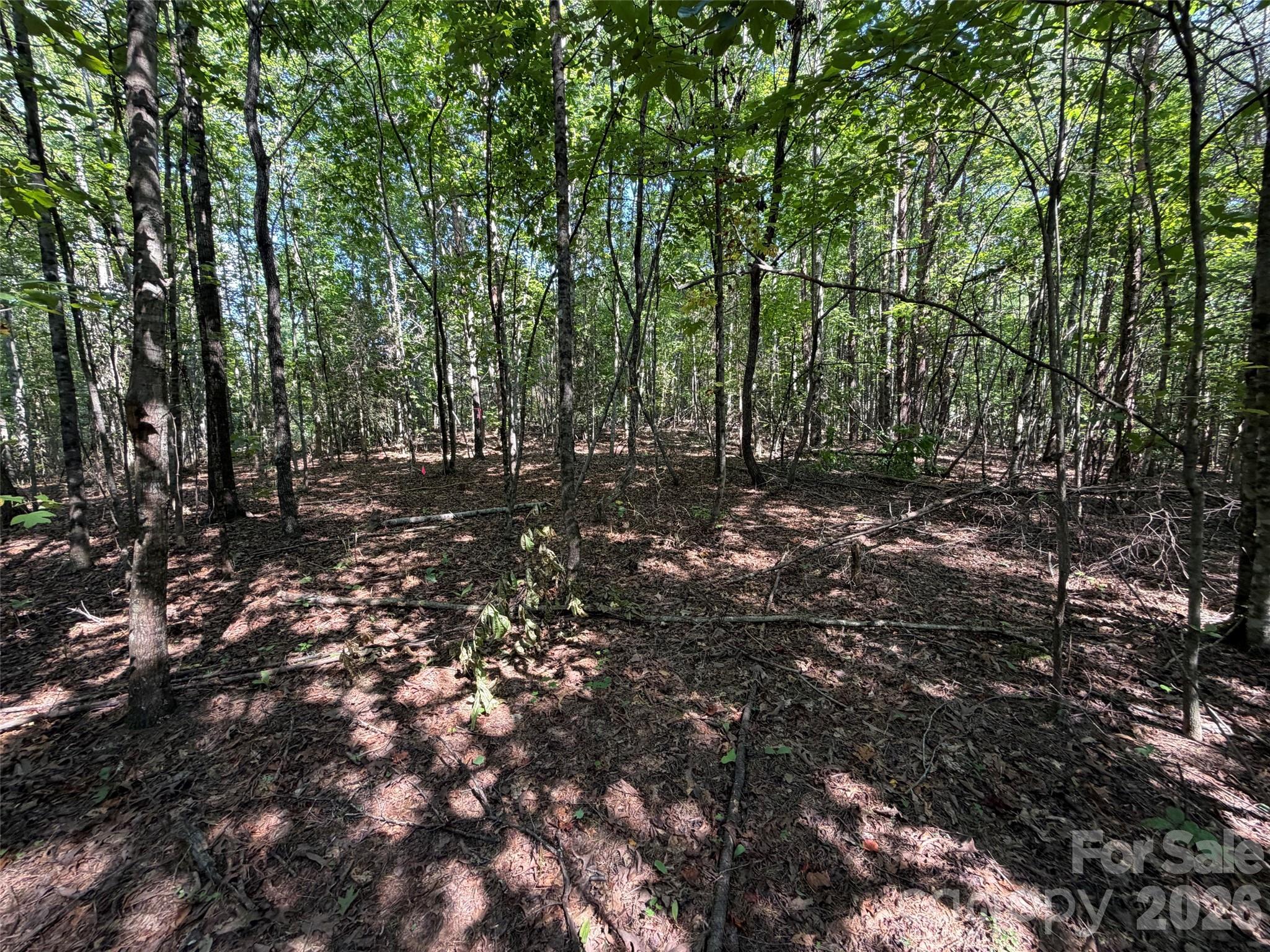 Acreage at 472 Southern Way, Nebo, photo 3 of 11