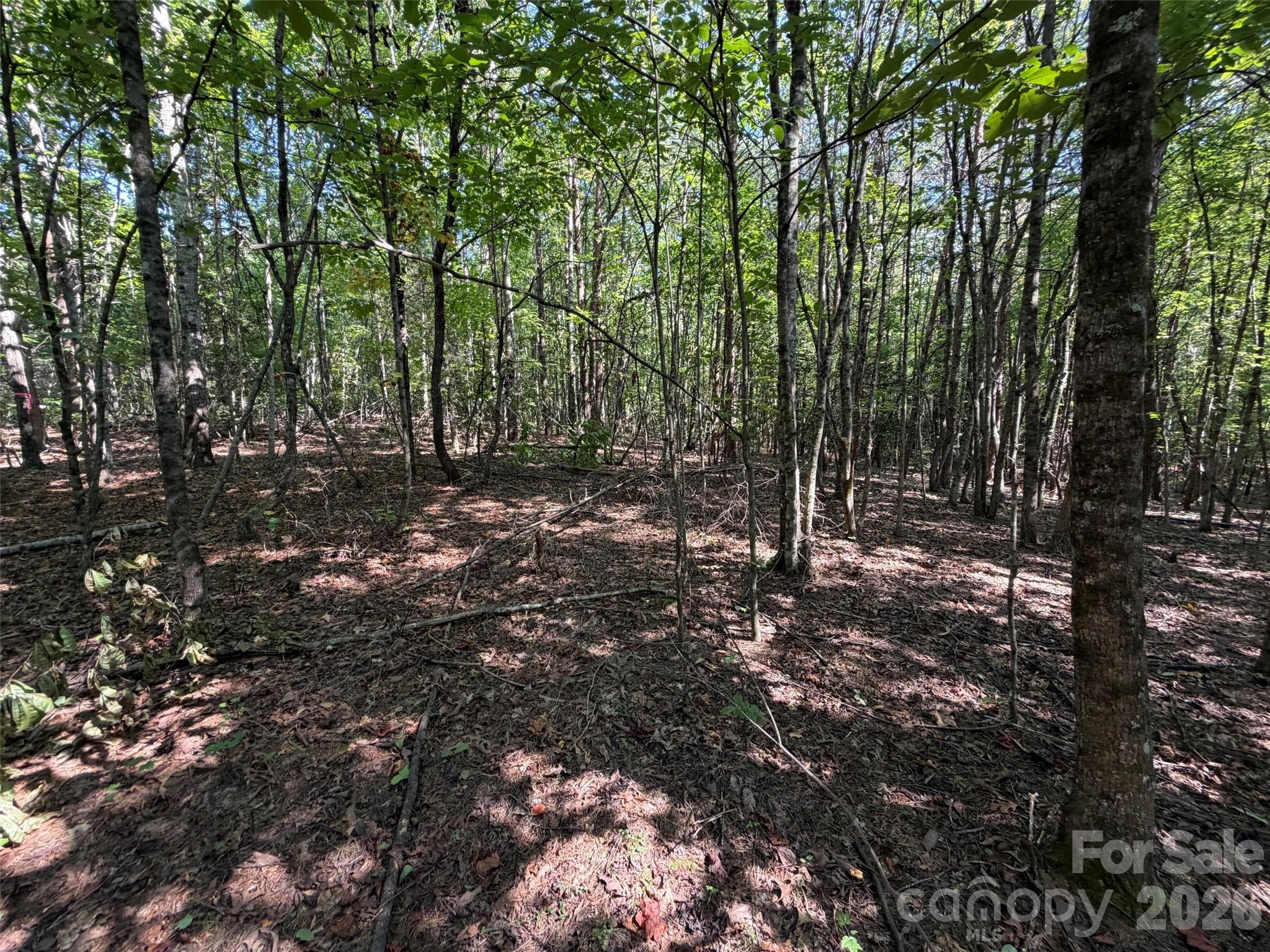Acreage at 472 Southern Way, Nebo, photo 4 of 11