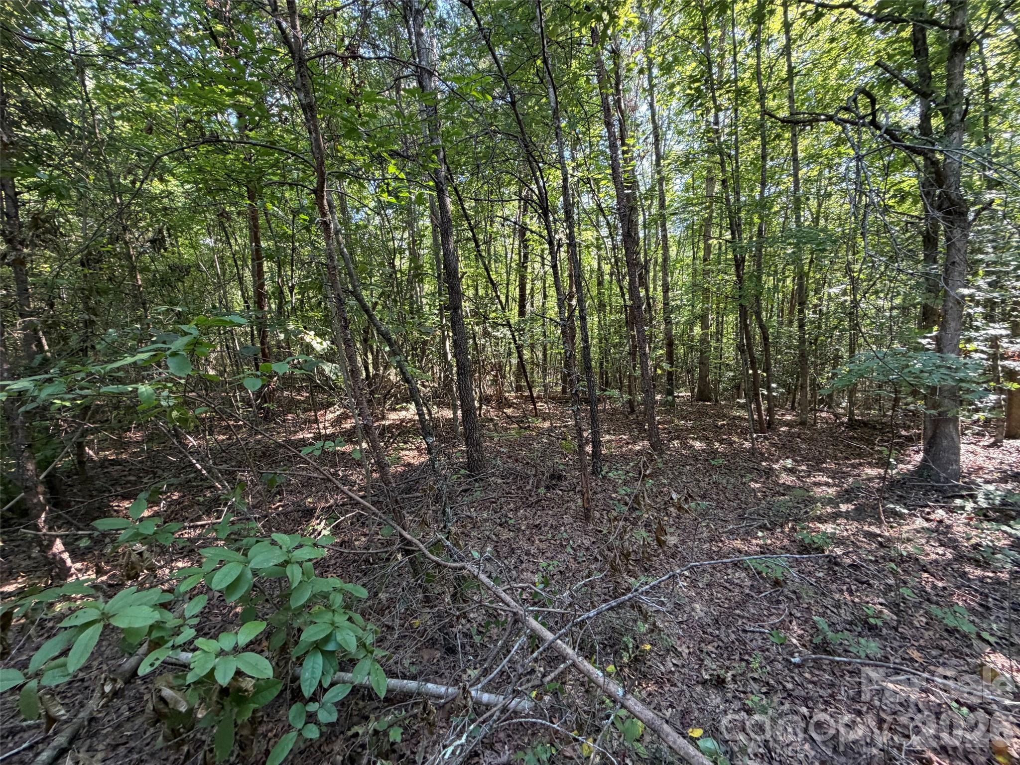 Acreage at 472 Southern Way, Nebo, photo 5 of 11