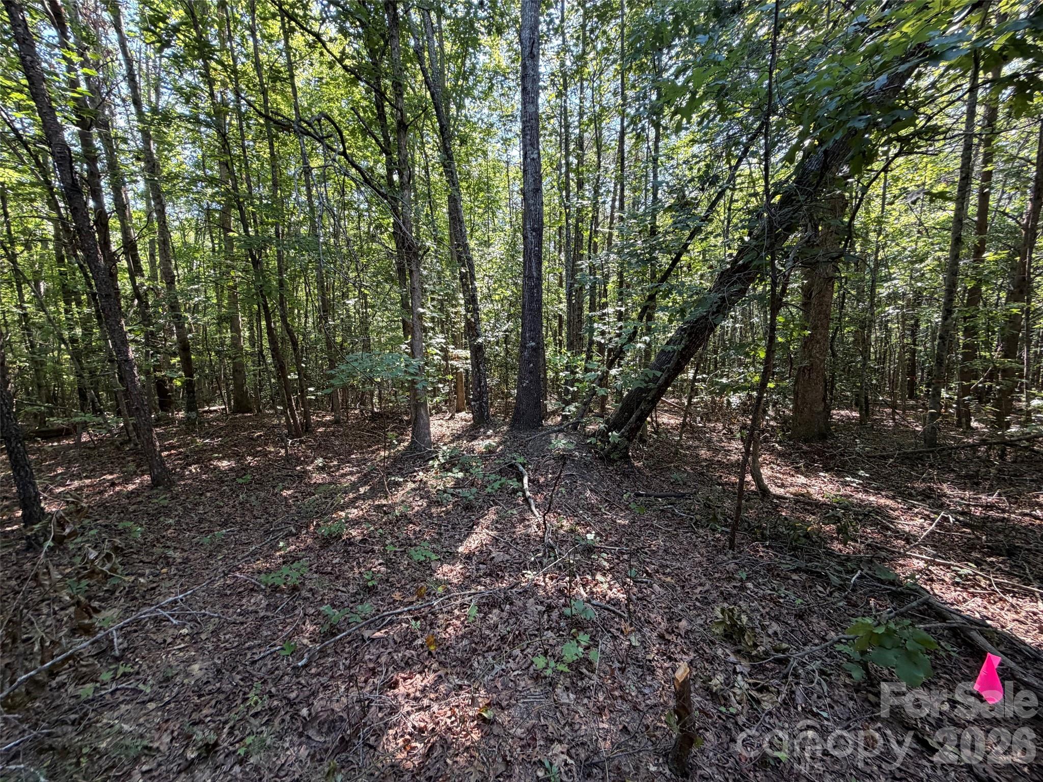 Acreage at 472 Southern Way, Nebo, photo 7 of 11