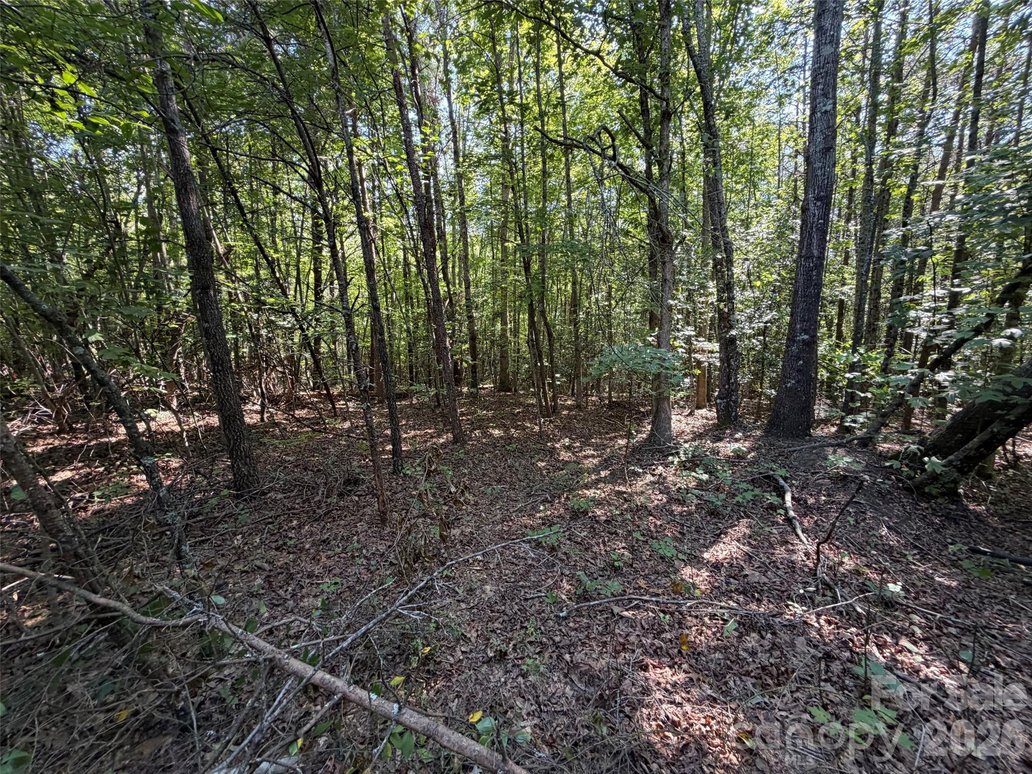 Acreage at 472 Southern Way, Nebo, photo 8 of 11
