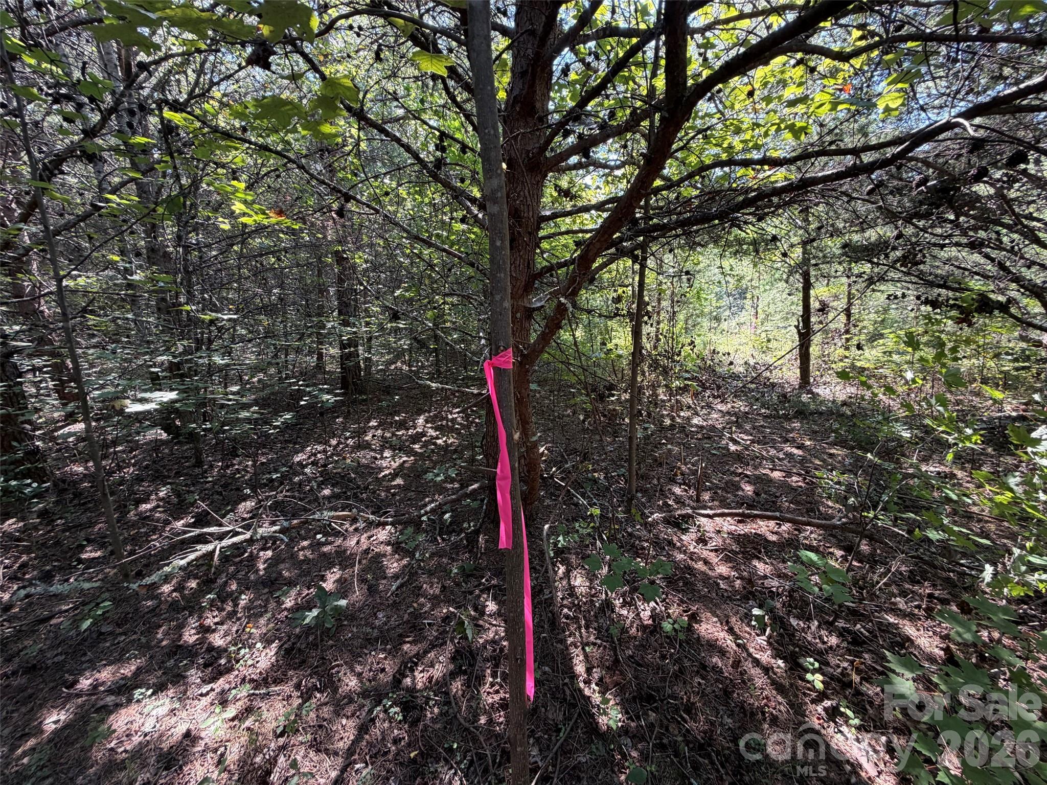 Lot at 468 Southern Way, Nebo, photo 2 of 9