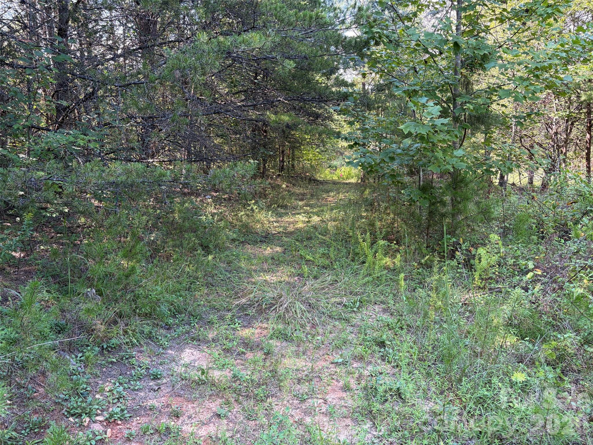 Lot at 468 Southern Way, Nebo, photo 3 of 9
