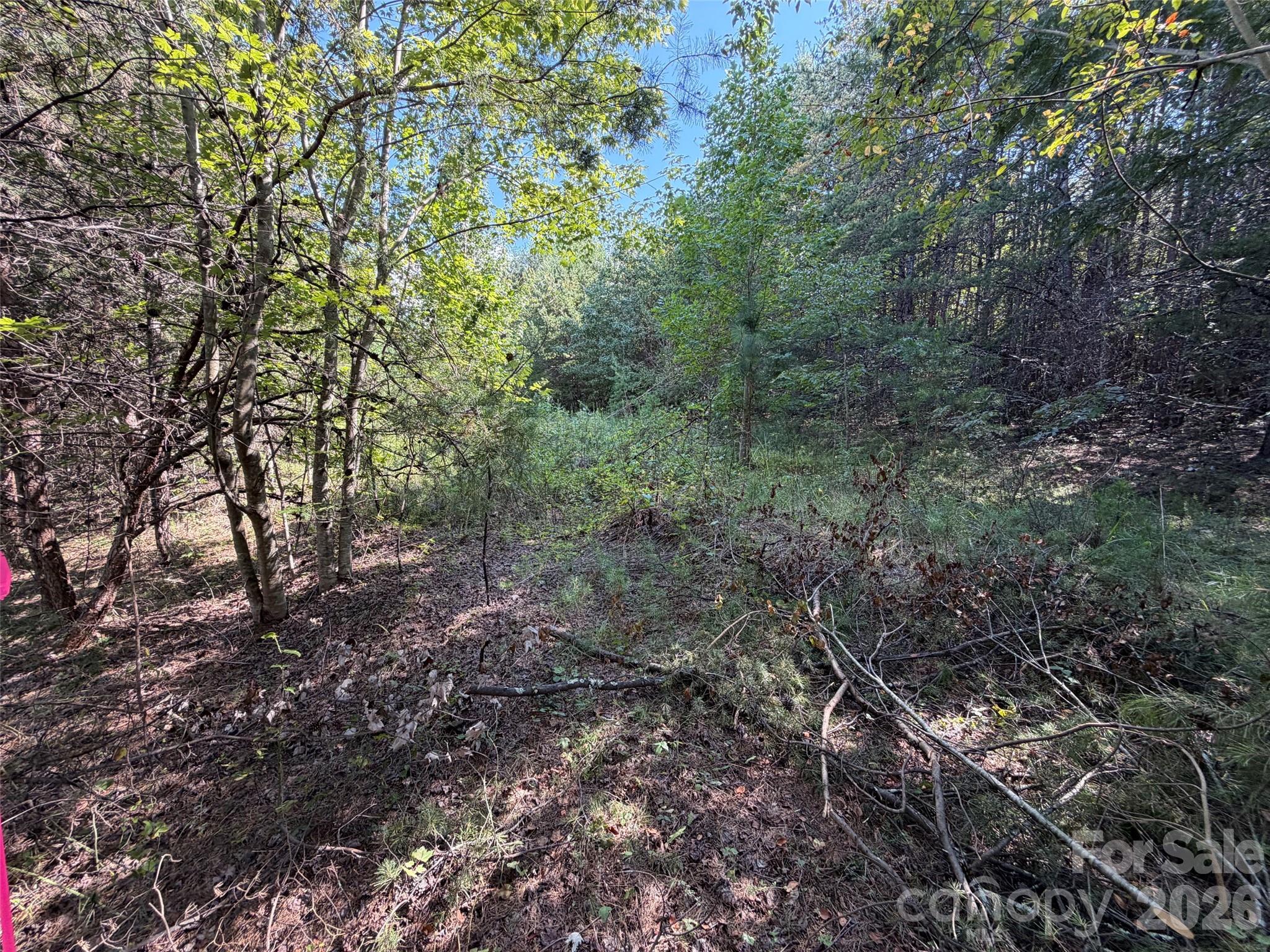 Lot at 468 Southern Way, Nebo, photo 5 of 9