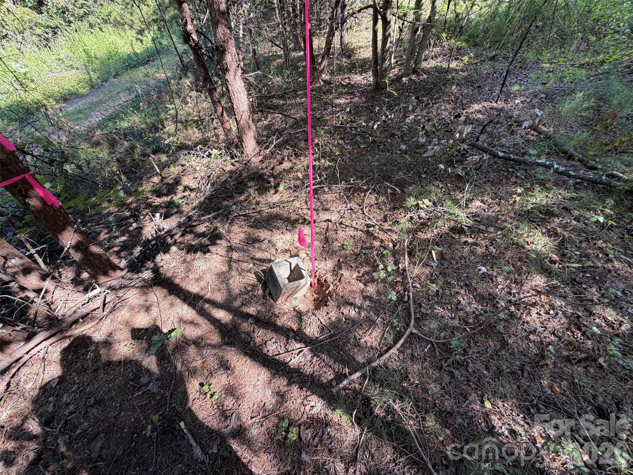 Lot at 468 Southern Way, Nebo, photo 6 of 9