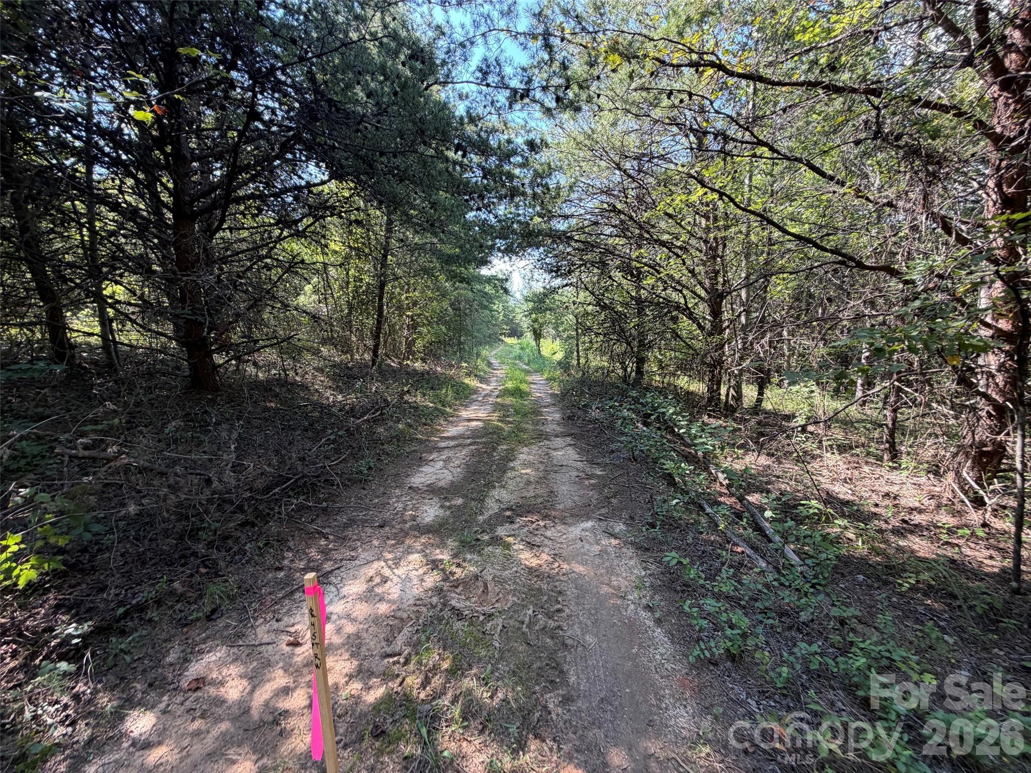 Lot at 468 Southern Way, Nebo, photo 8 of 9
