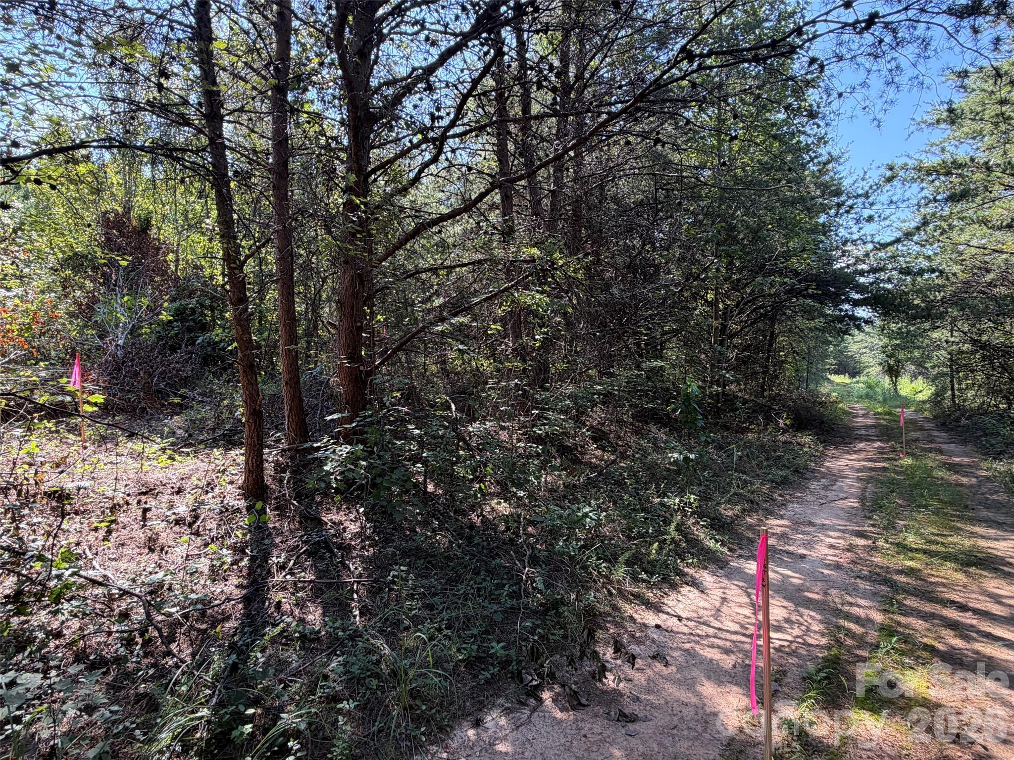 Lot at 468 Southern Way, Nebo, photo 9 of 9