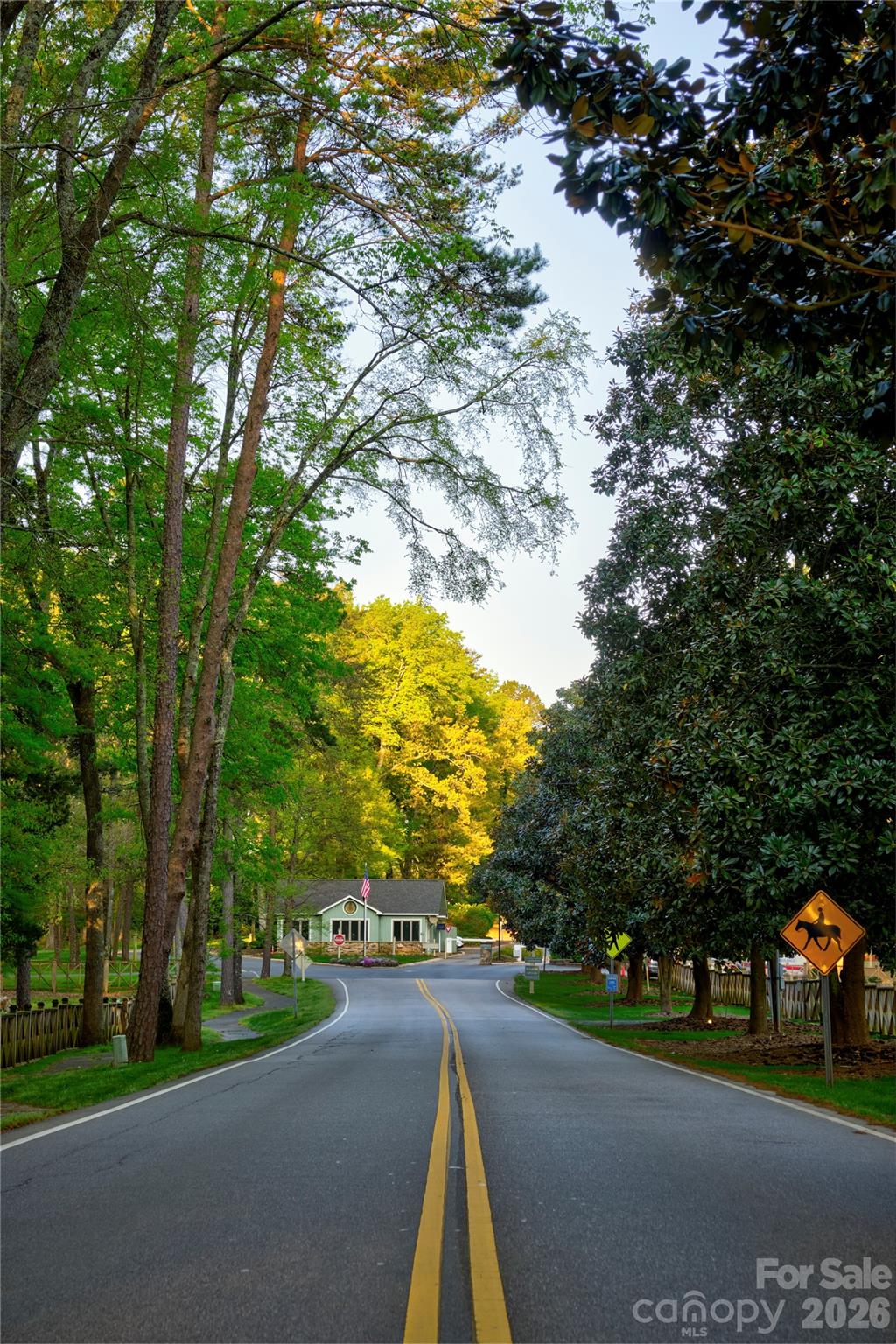 Beautiful drive in to River Hills - 10 Bald Eagle Road, Lake Wylie