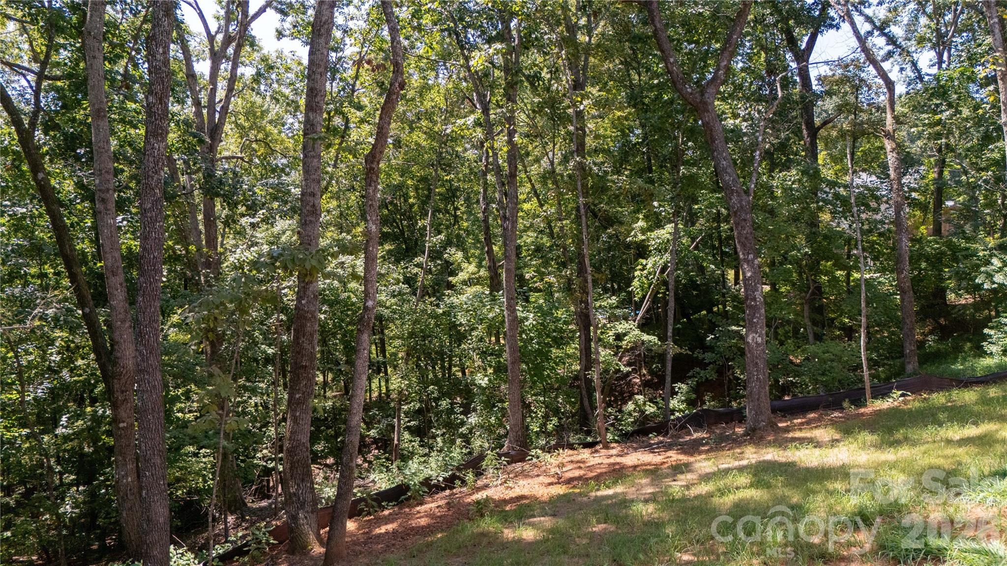 Single Family Residence at 436 Dublin Lane, Columbus, photo 71 of 72