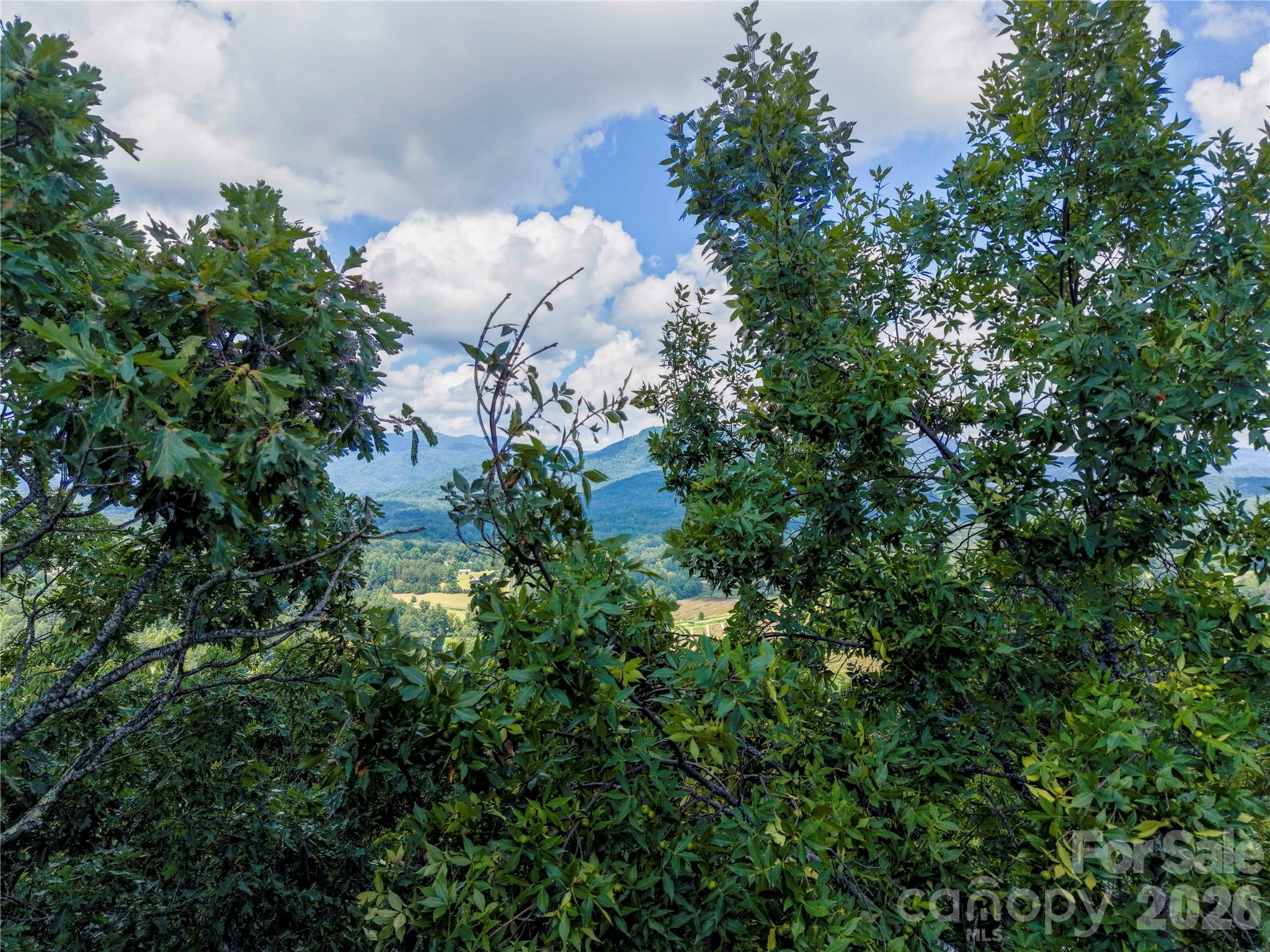 0 High Pines Loop