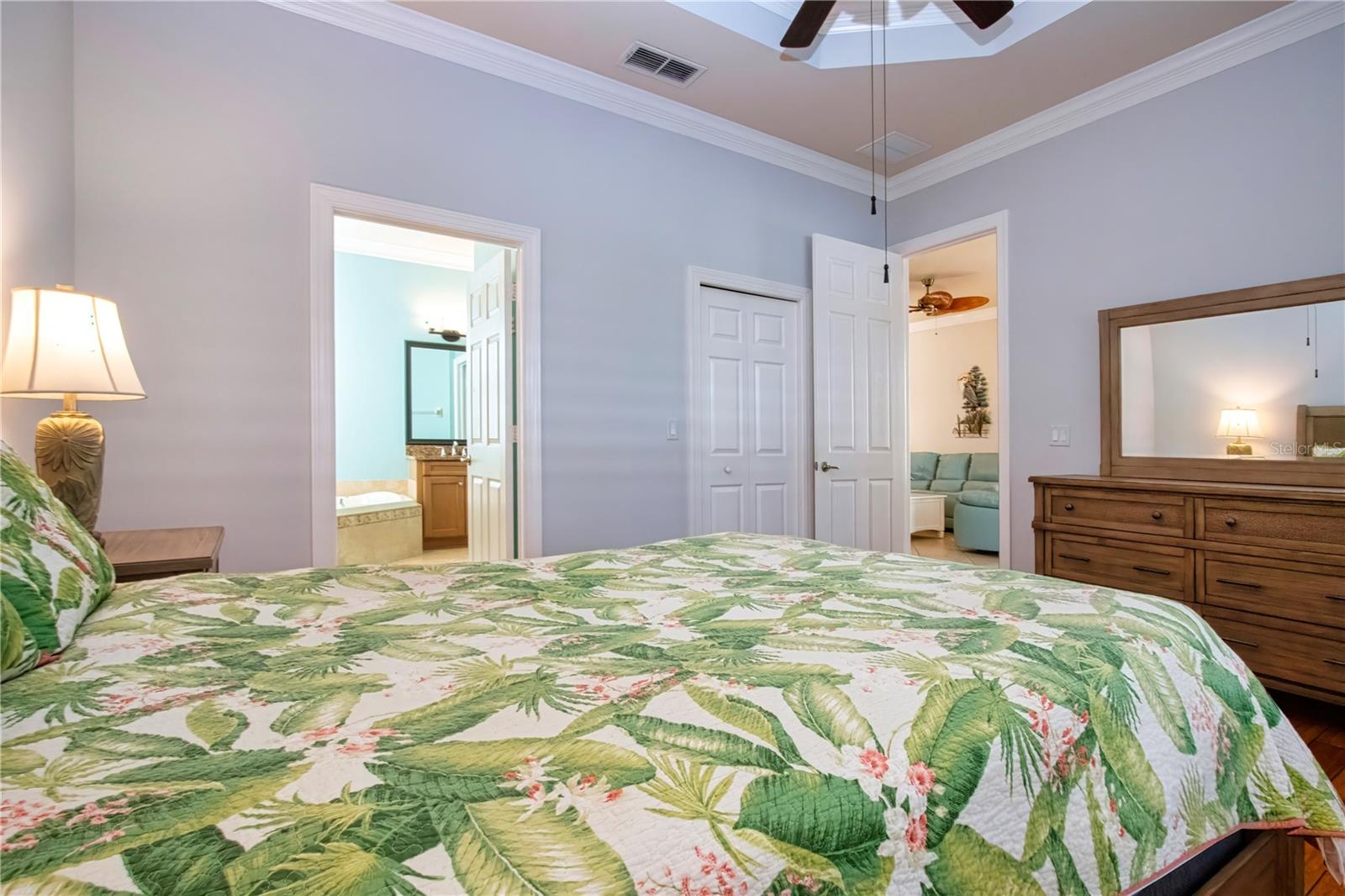 Primary Bedroom, looking into En-suite Bath - 15847 COBBLE MILL DR, WIMAUMA