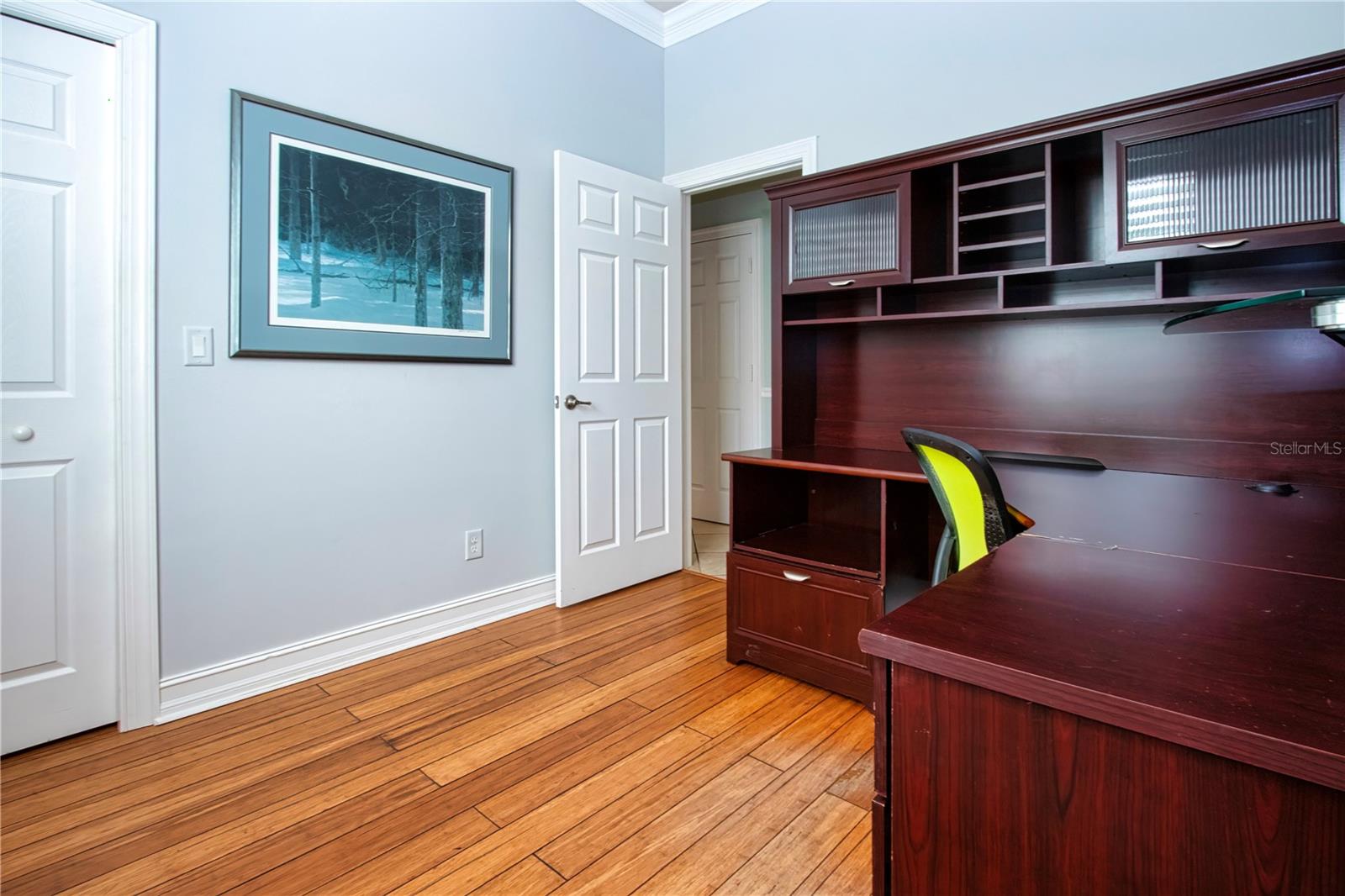Walk-in closet - 15847 COBBLE MILL DR, WIMAUMA