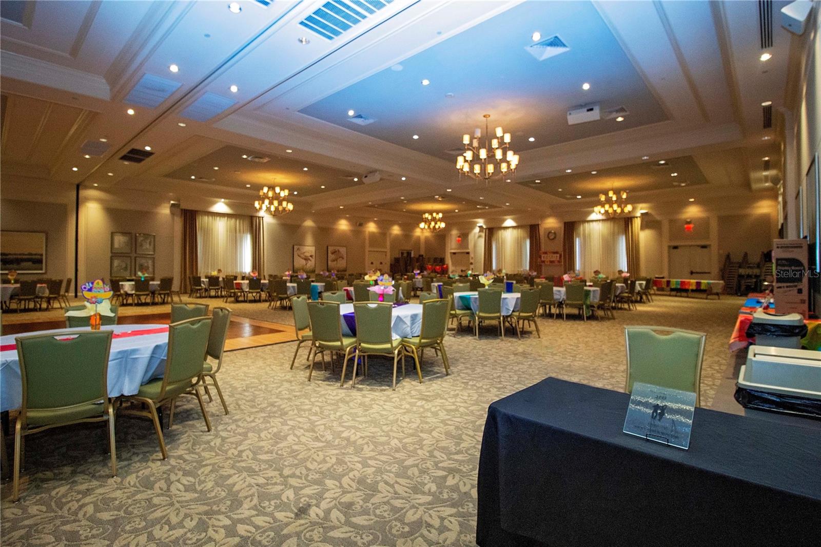 Ballroom/Theater - 15847 COBBLE MILL DR, WIMAUMA