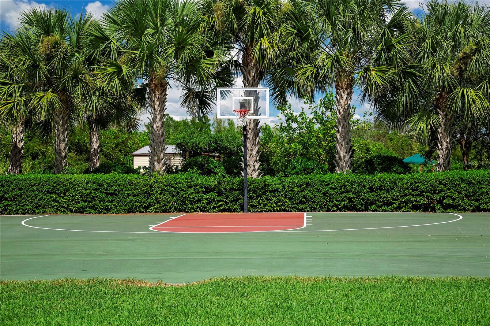 Want to shoot a couple of baskets? - 15847 COBBLE MILL DR, WIMAUMA