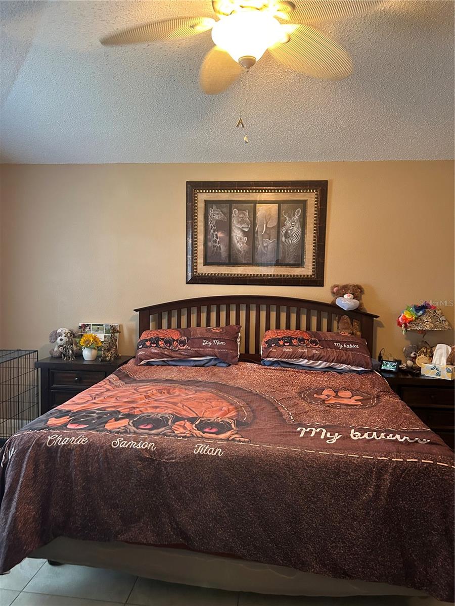 MASTER BEDROOM - 1116 ORNE CT, KISSIMMEE