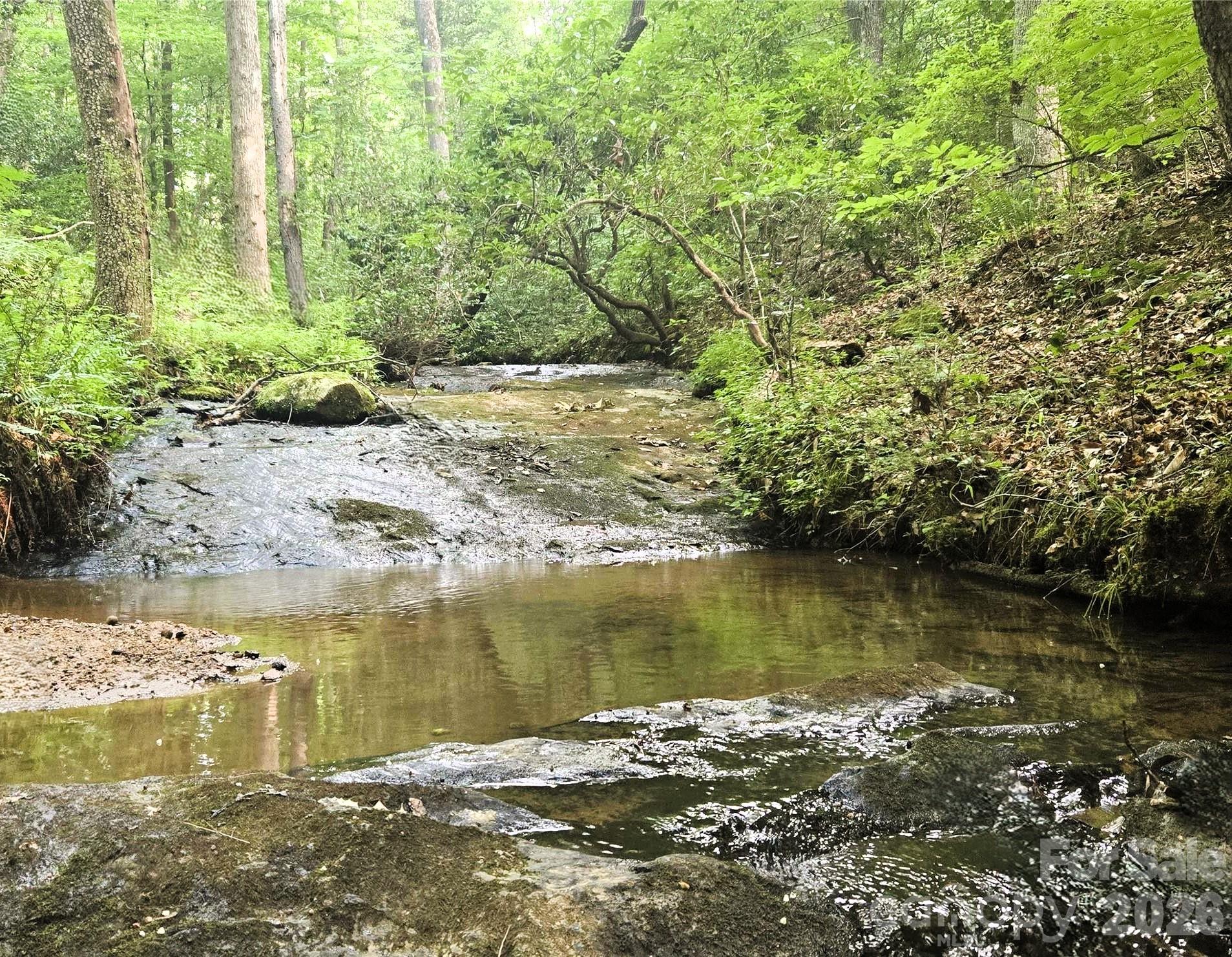 A fun and functional creek running through with trails throughout - 670 Cedar Creek Road, Lake Lure