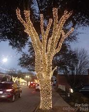 Christmas - 276 Mulberry Street, Forest City