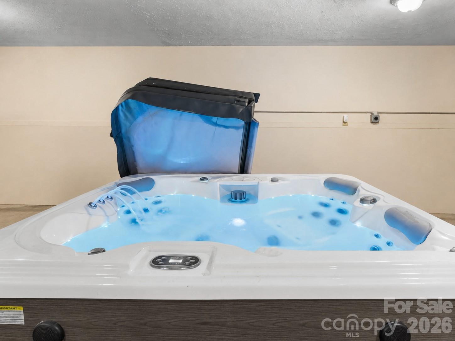 Hot Tub in Garage - 40 Country Bear Lane, Flat Rock