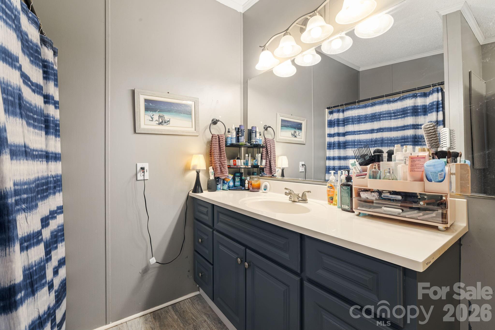 Primary Bathroom - 96 Fallswood Court, Hendersonville